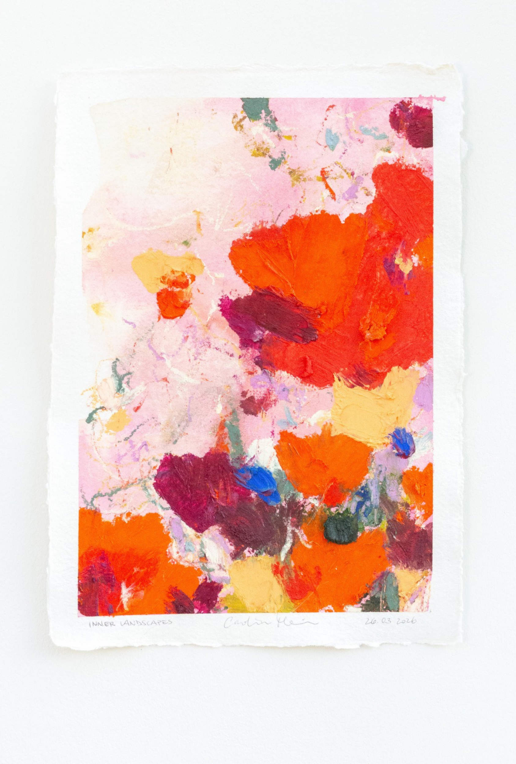 Inner Landscapes collection