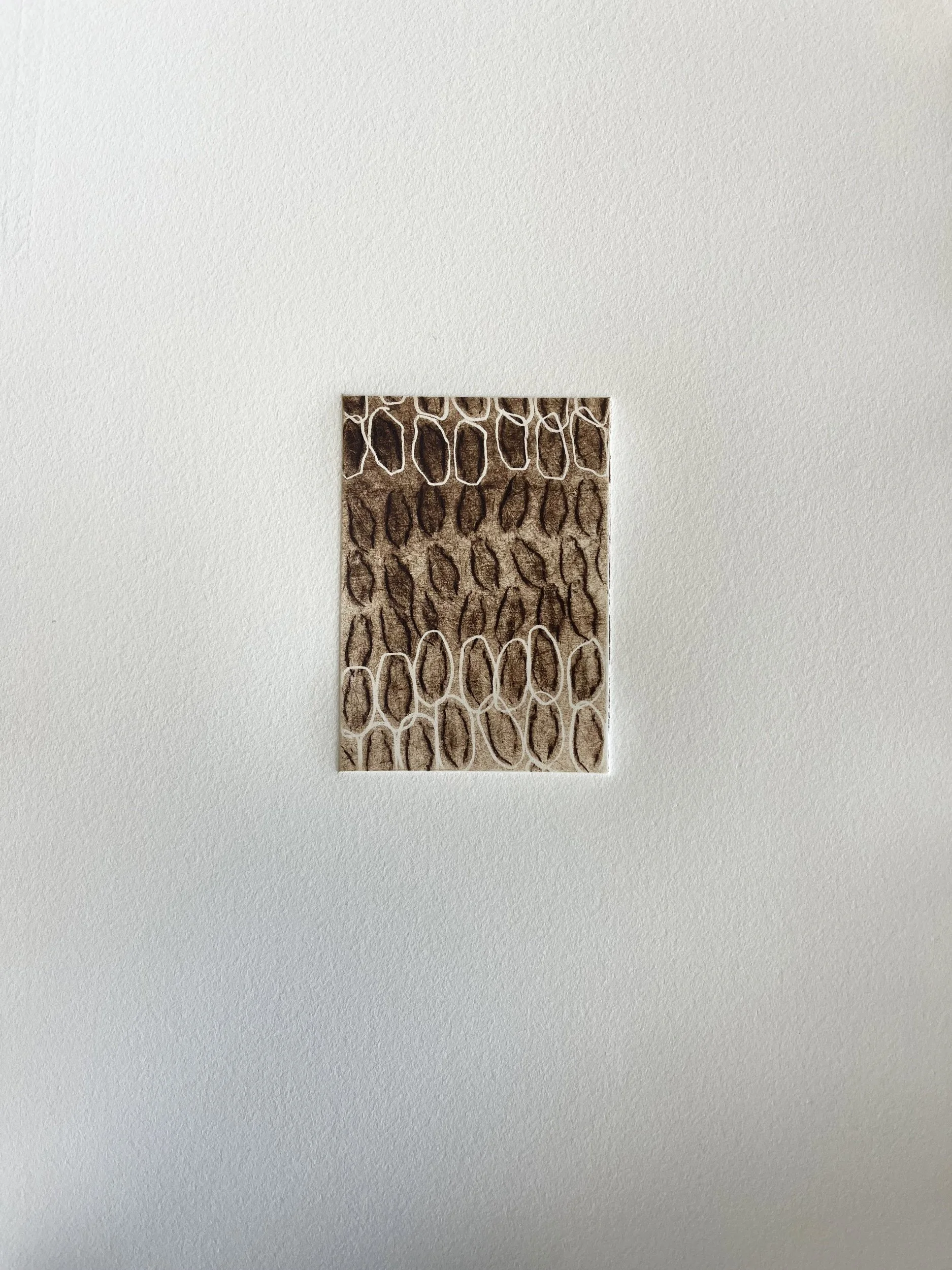 Whispers from the Shell Maker II
