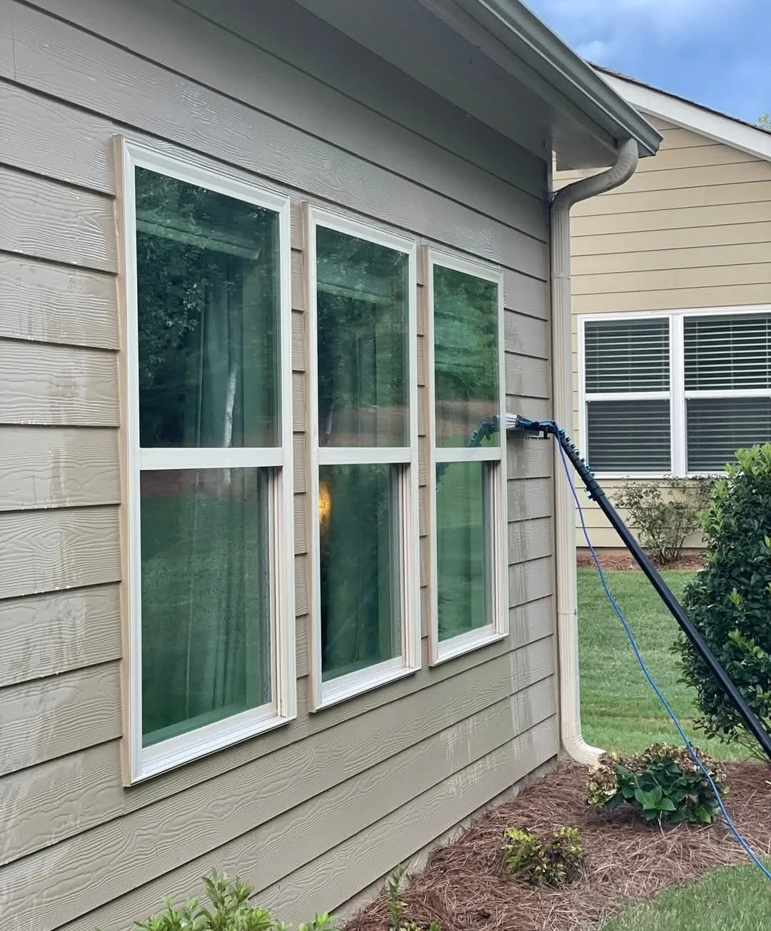 Window cleaning at its finest.  Get rid of mold and mildew from your windows and vinyl.