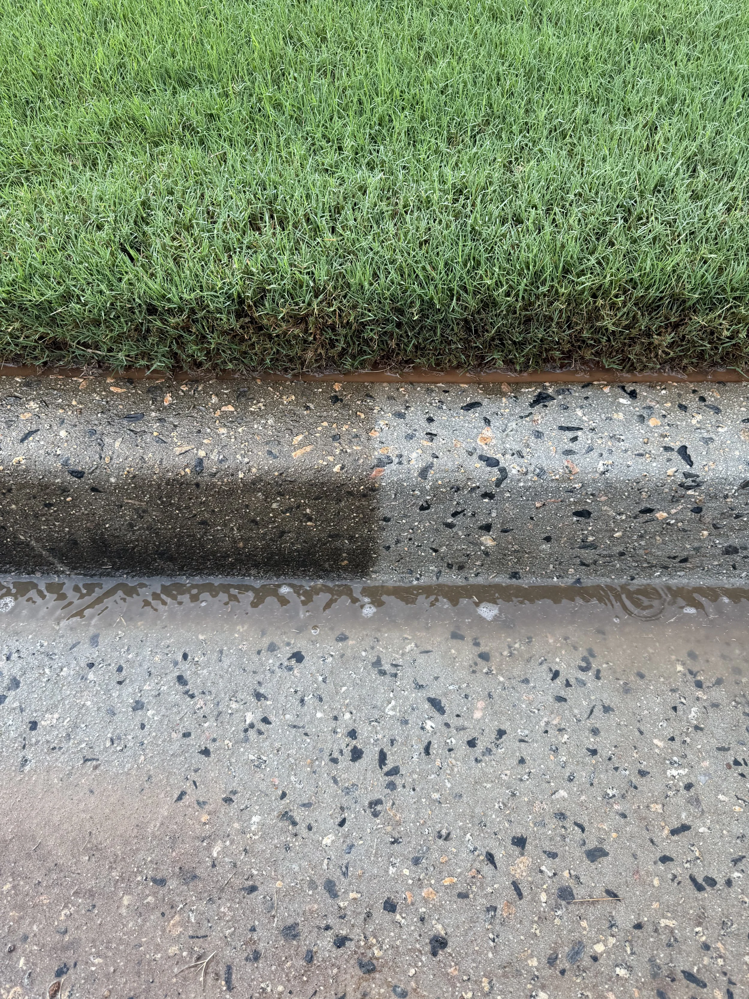 Before and after pressure washing a clients curb.  