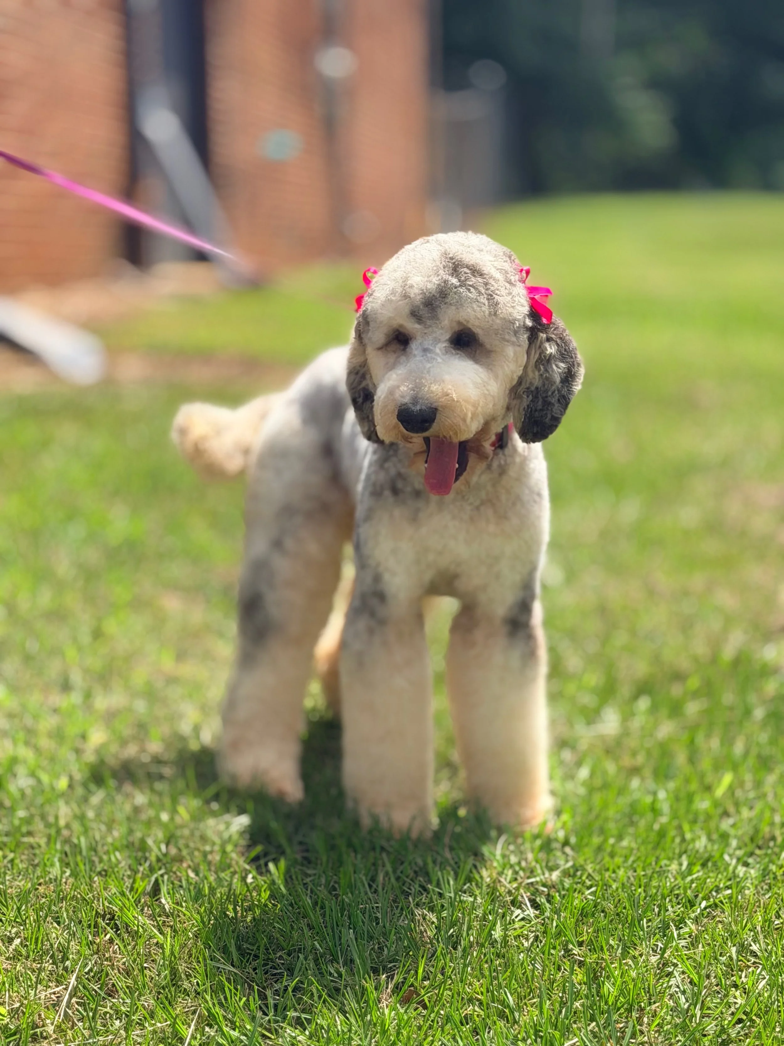 AB4D6190-5767-4087-A65D-5D3C913E1516.JPEG