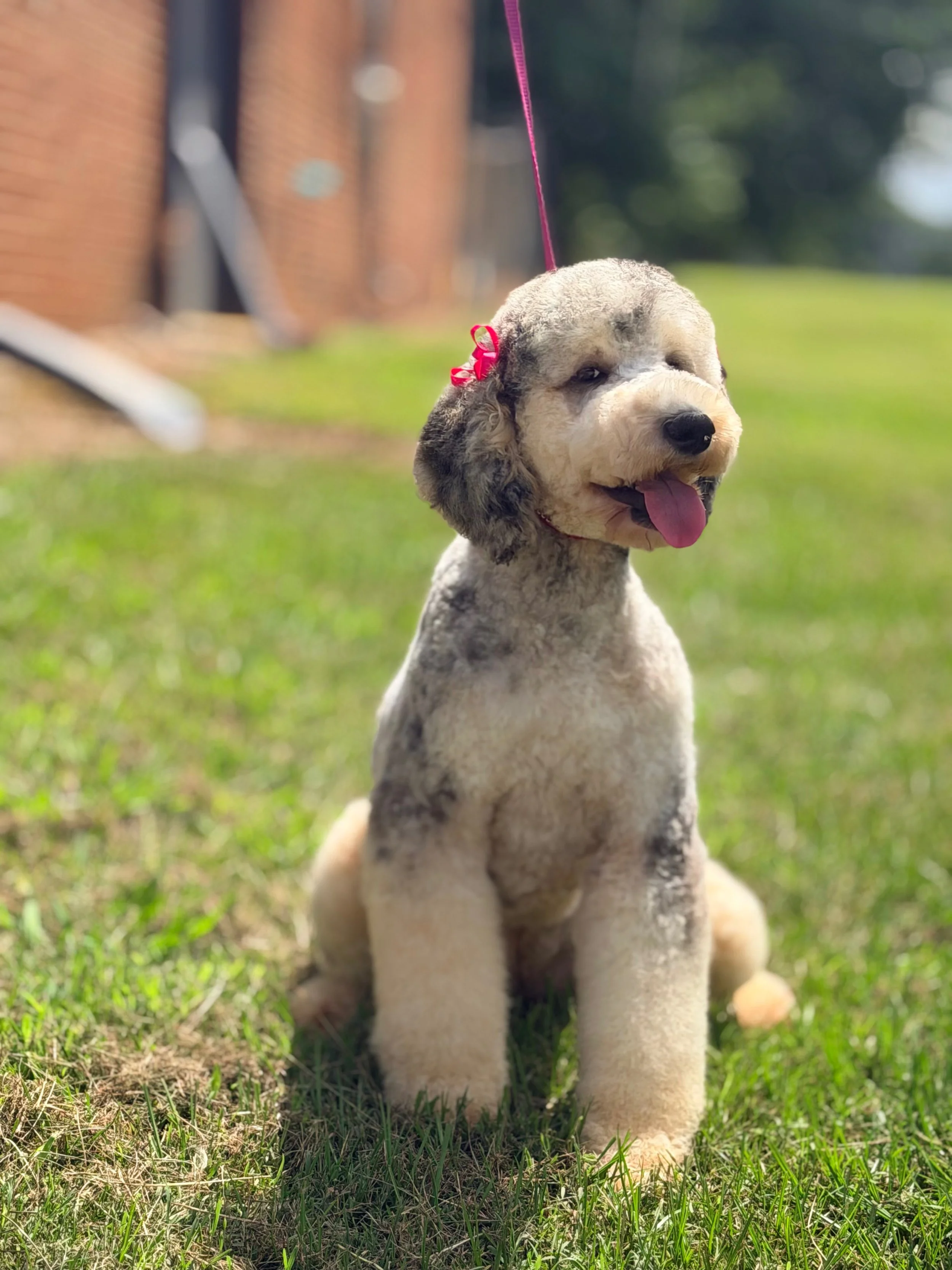 89452955-D3A7-4476-B57E-FE2D46CB0F96.JPEG