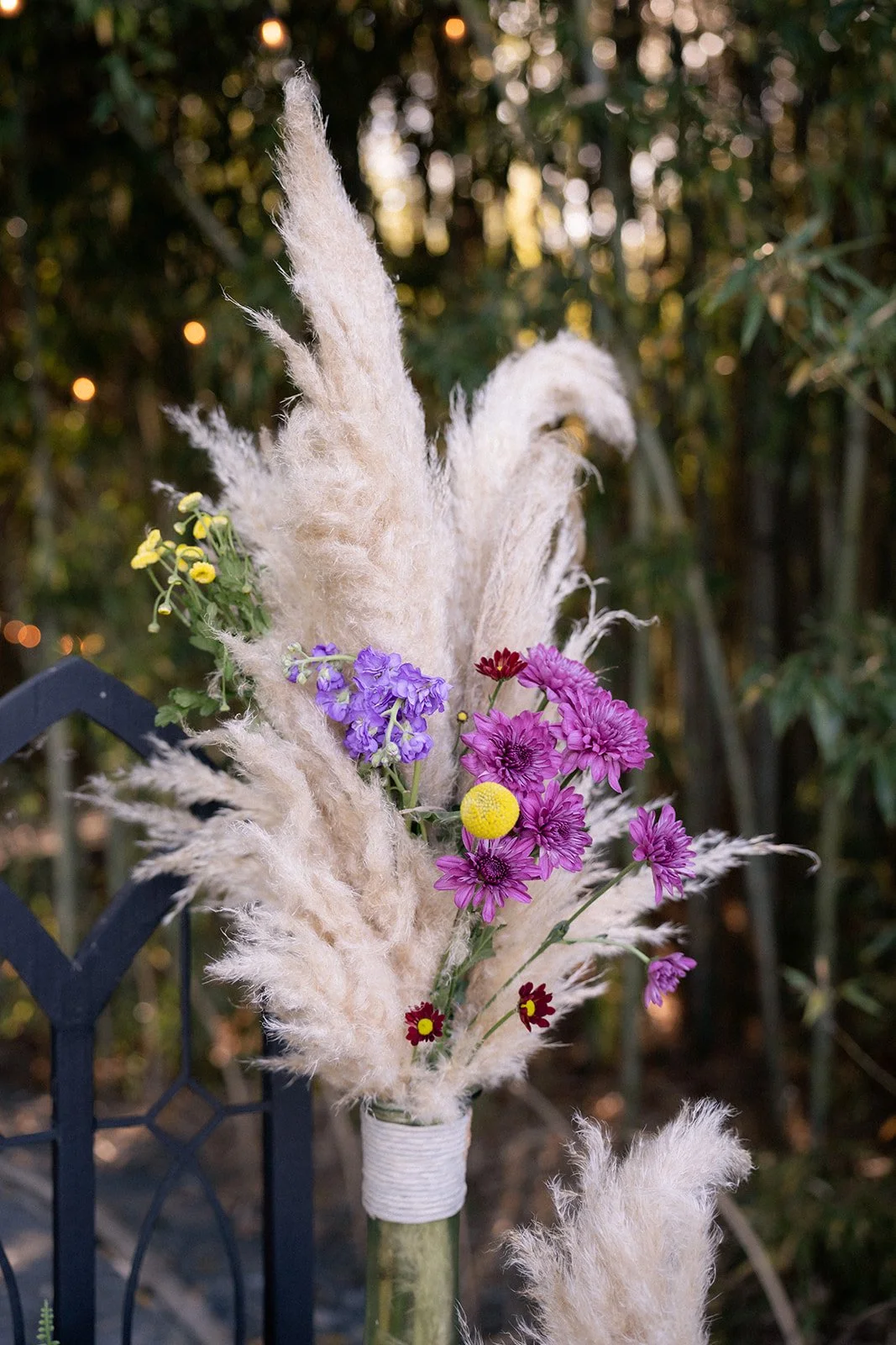 NorthCarolinaEngagementPhotography-44_websize.jpg