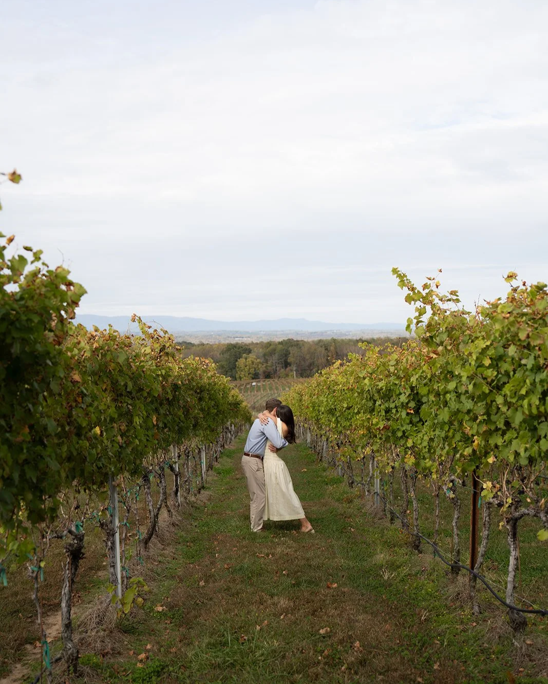 A couple kissing in a vineyard with rows of grapevines extending into the distance, under a cloudy sky.
