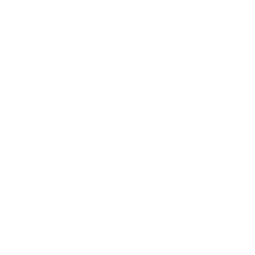 Reebok logo in black and white with stylized, slanted text and abstract lines.
