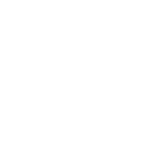 Logo for Raider Home Improvement, featuring the company name and a simple house outline.