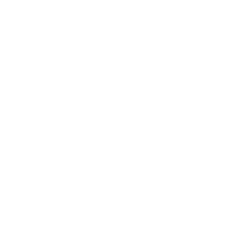 Tesla logo in black and white.