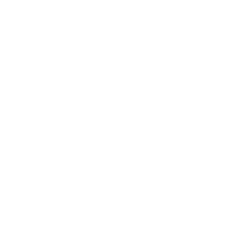 Royal Air Force logo with a circular target symbol and bold text.