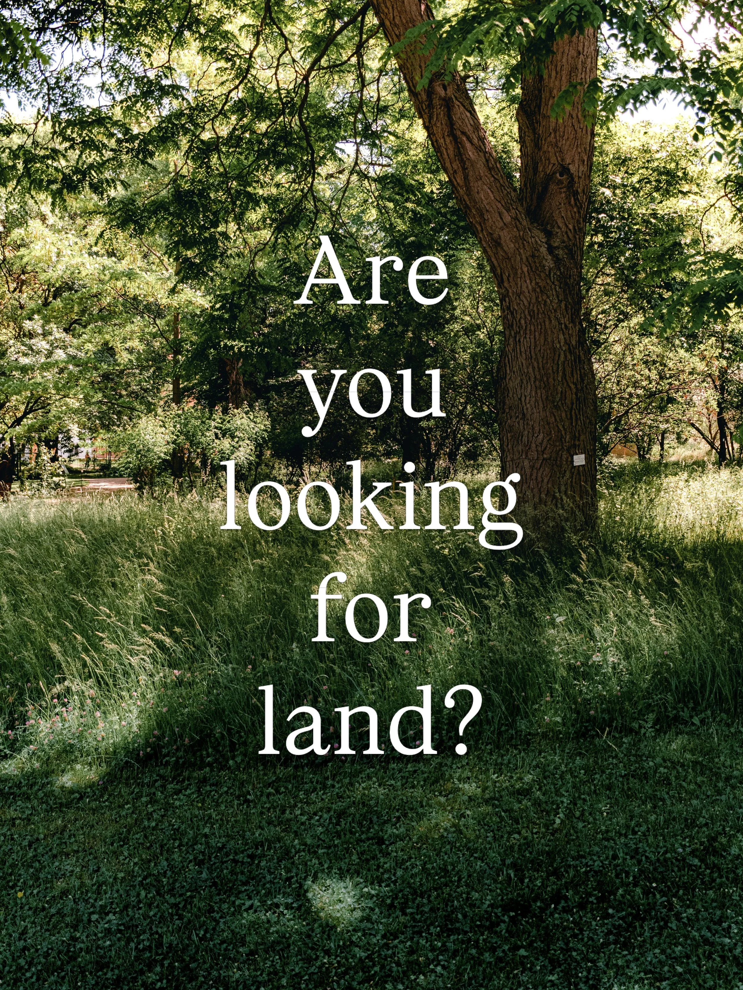 I&rsquo;m making a list for anyone who wants me to scout land for them. It&rsquo;s kind of my thing. 💁&zwj;♀️ DM me your email and I&rsquo;ll add you to the list. 

Maybe it&rsquo;s a large piece we subdivide. You live on one piece and sell off the 