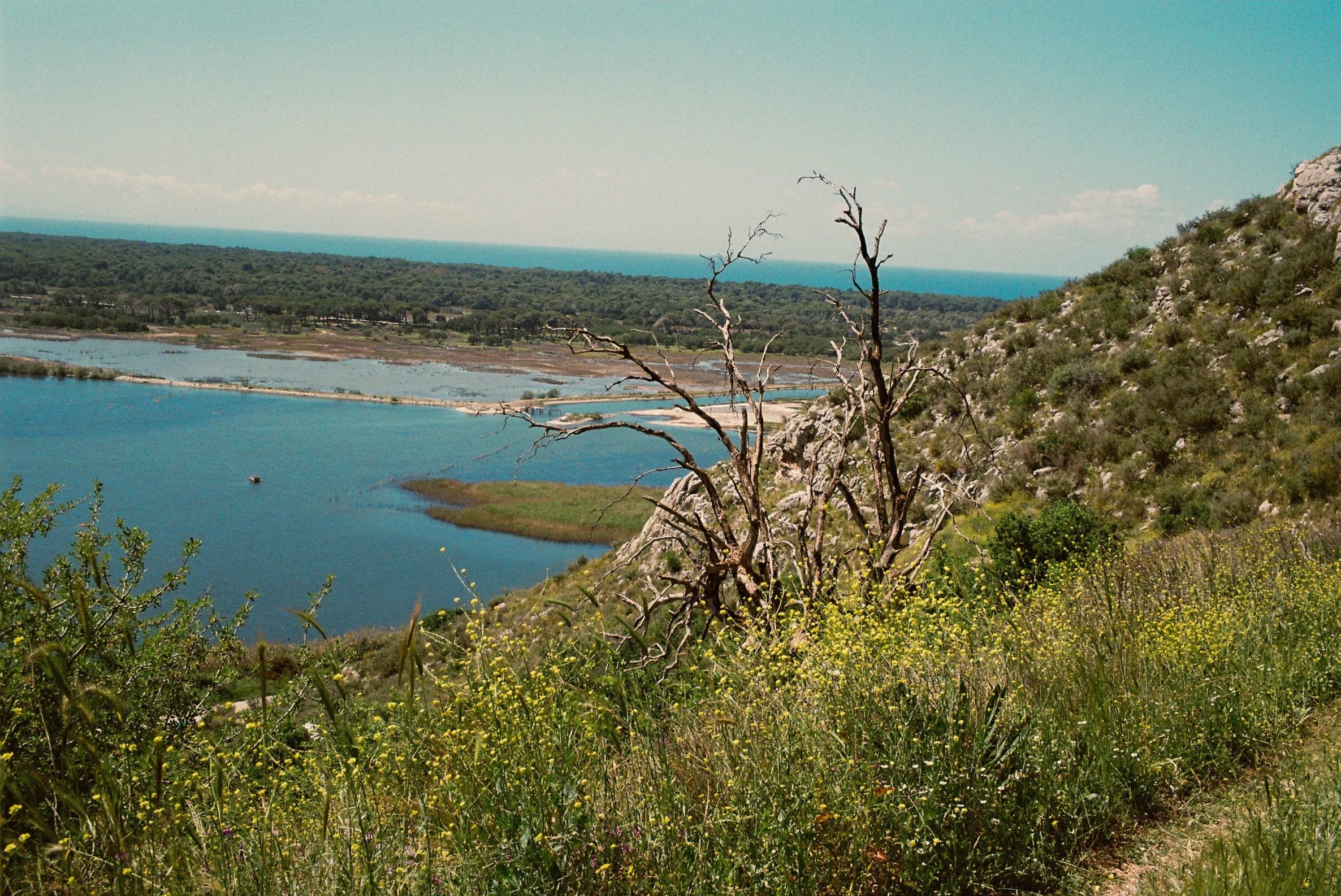 R1-09058-002A.jpg