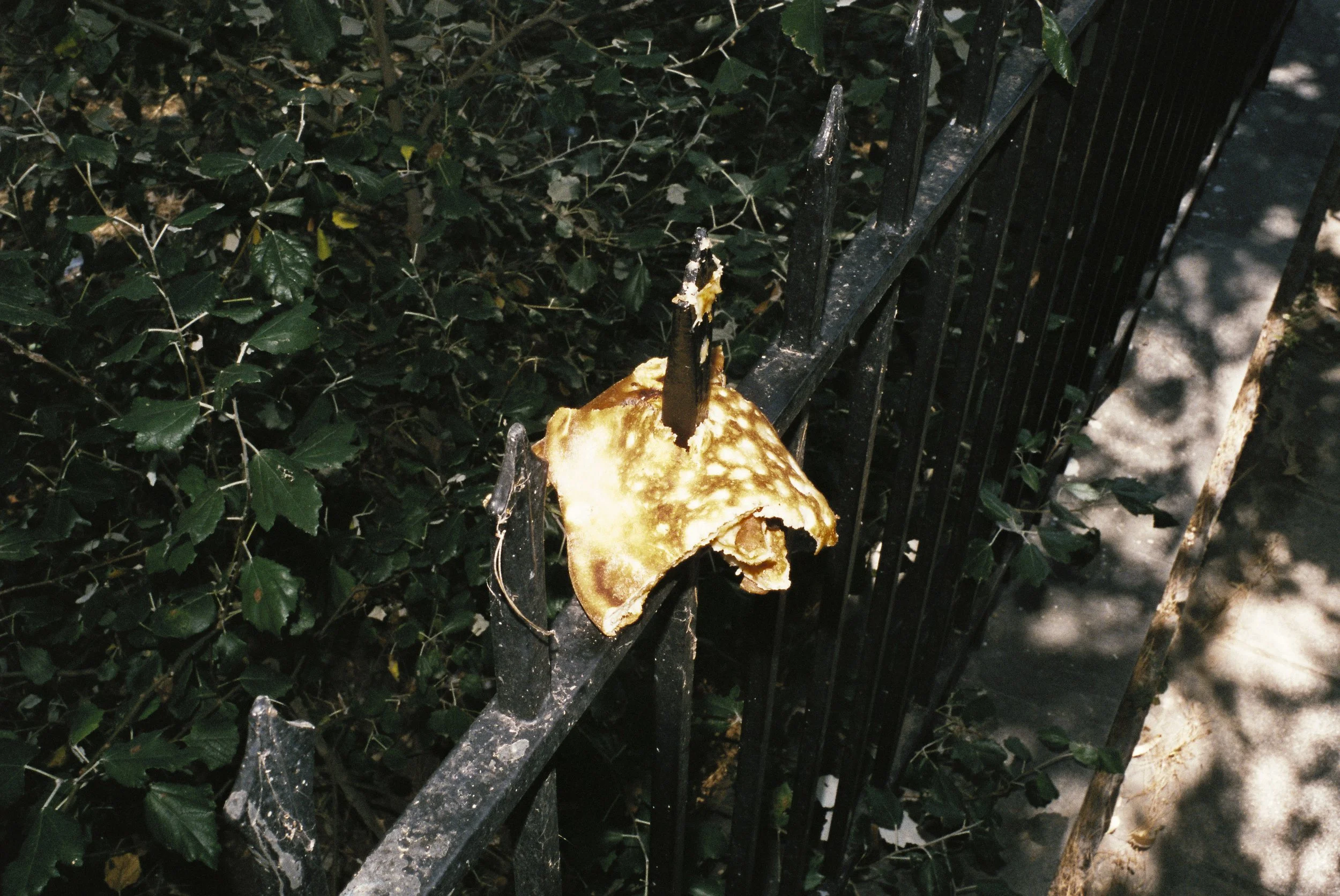 R1-01629-0018.jpg