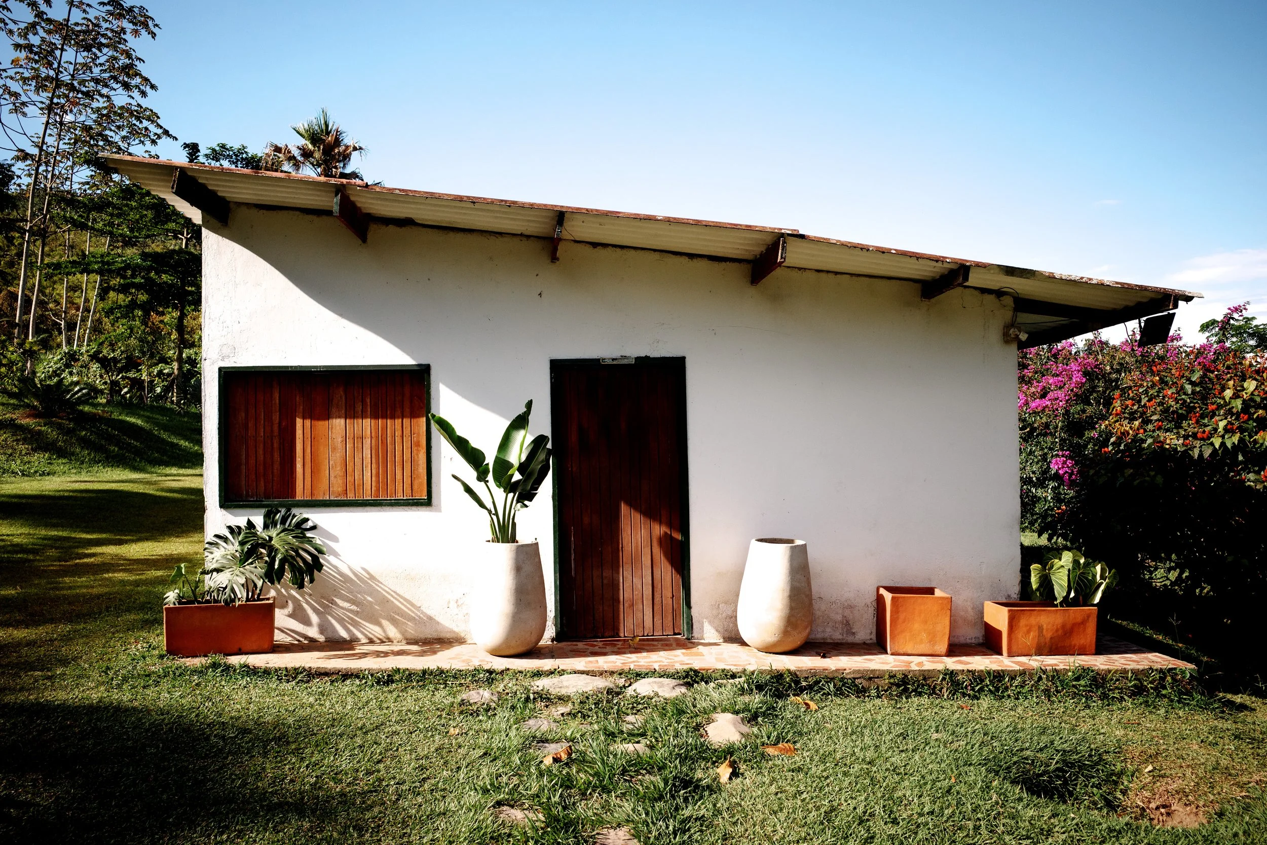 la casa.jpg