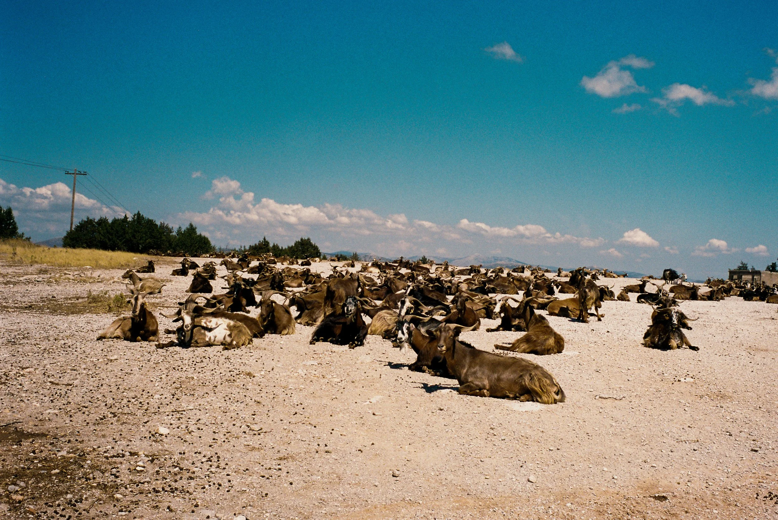 R1-01118-017A.jpg