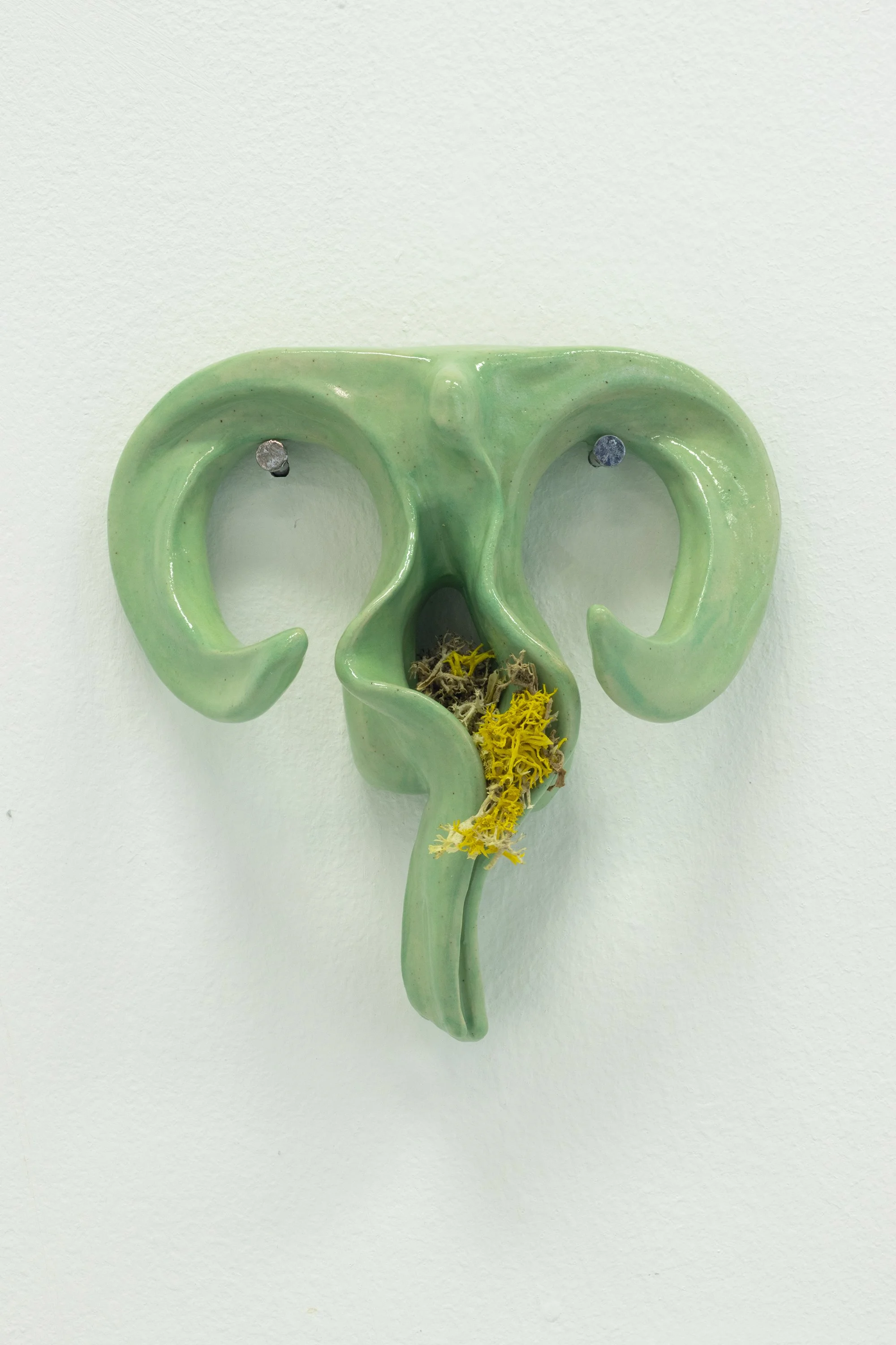 green front 2.jpg