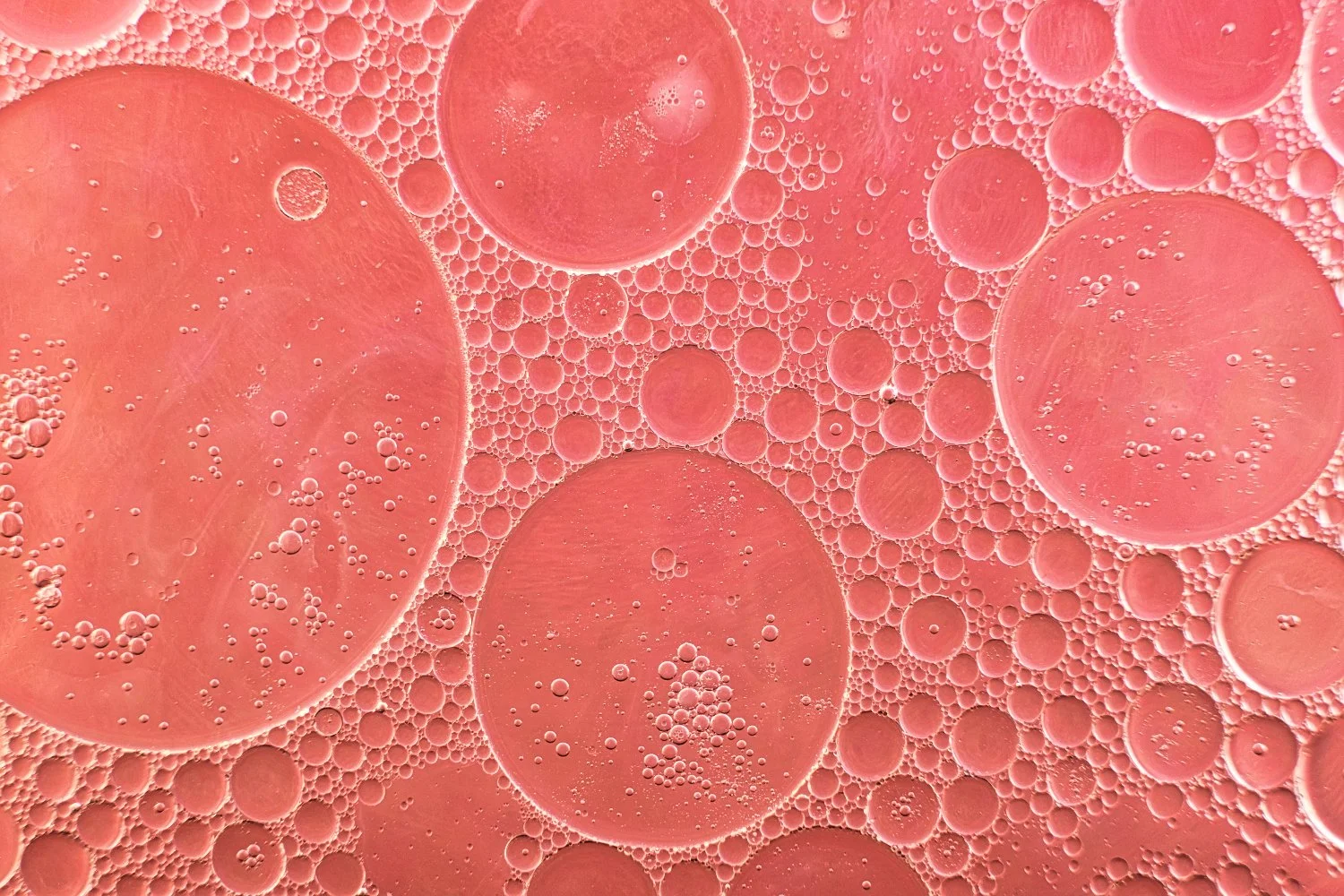 Close-up of oil droplets in water, forming a pattern of various-sized circles, with a pinkish hue.