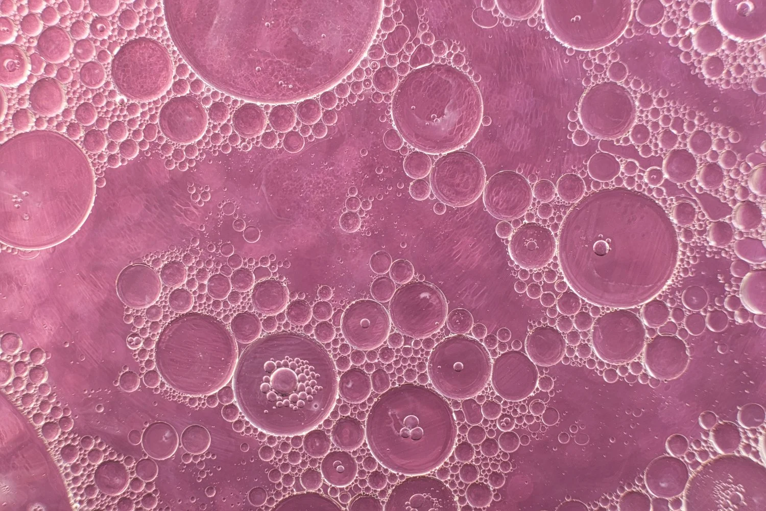 Close-up of bubbles in a pink liquid, showing various sizes of spherical bubbles clustered together.