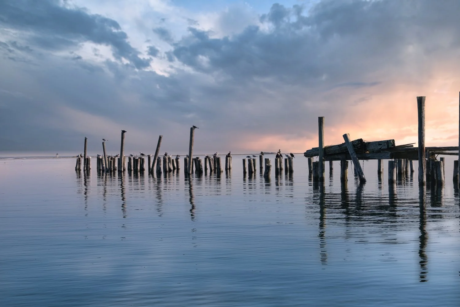 Old wooden pier extending into calm water during sunset, with seagulls perched on posts and a cloudy sky.