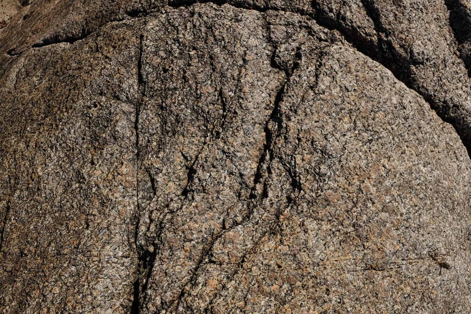 Close-up of a textured, cracked granite rock surface.