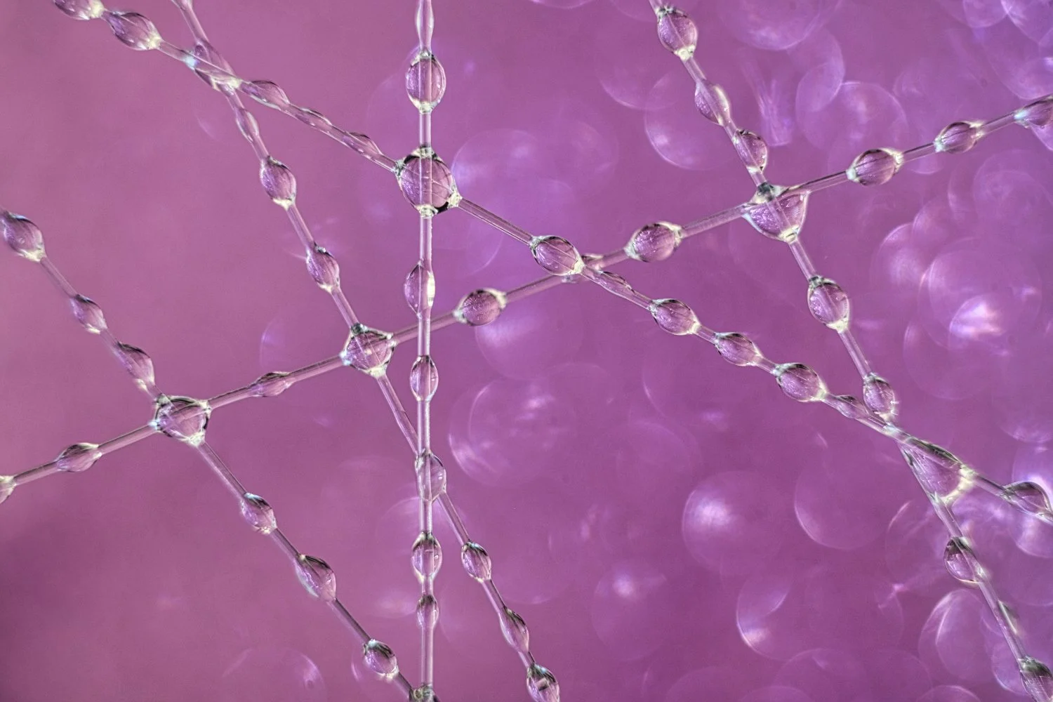 Close-up of interconnected purple and clear beads or crystals against a pink, bokeh background.