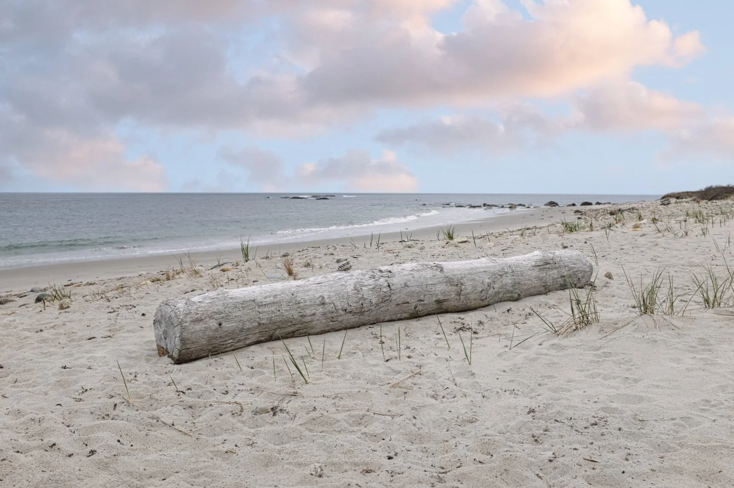 A deserted sandy beach with a large piece of driftwood in the foreground, sparse beach grass, and the calm ocean with rocks in the distance under a partly cloudy sky.