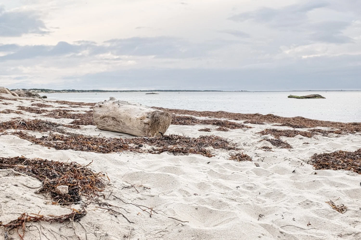 A sandy beach with seaweed and a large piece of driftwood, calm water with rocks in the distance, and a cloudy sky overhead.