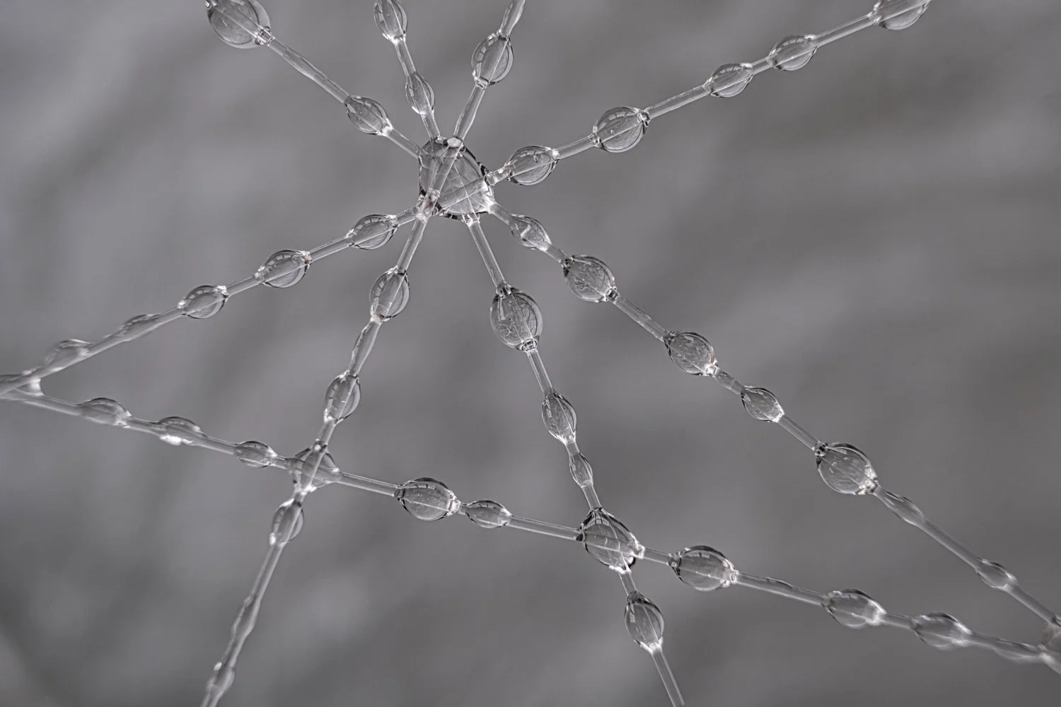 Close-up of a spider web covered in water droplets on a gray background