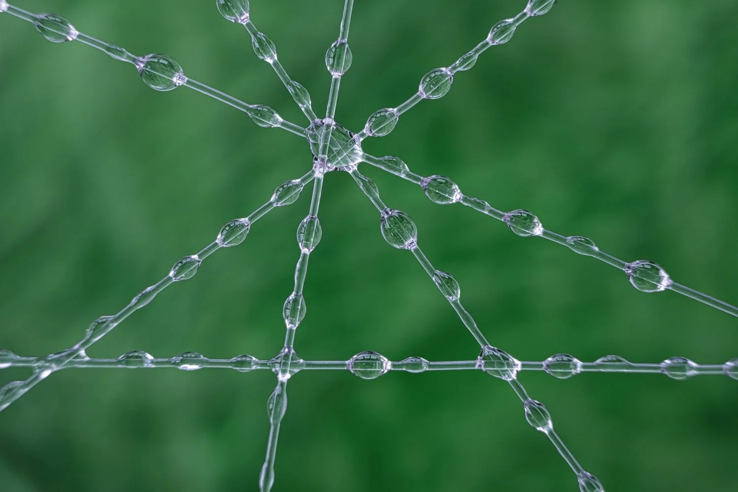 Close-up of a spider web with dewdrops on a green background.