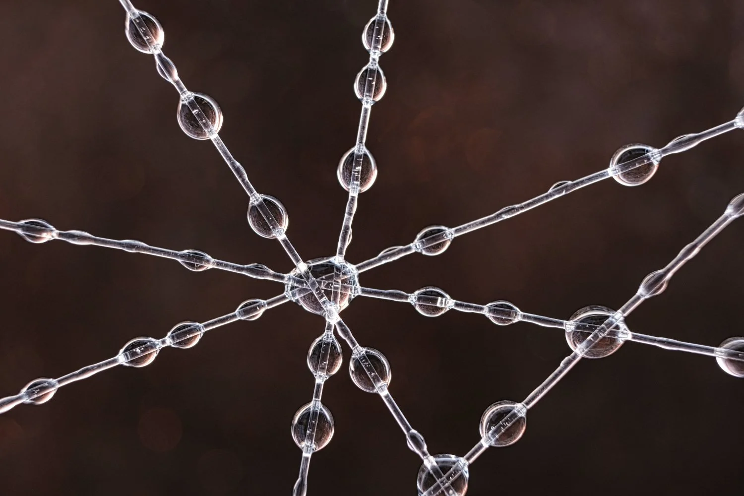 Close-up of a clear crystal-like molecular structure with multiple branches extending from a center, set against a dark background.
