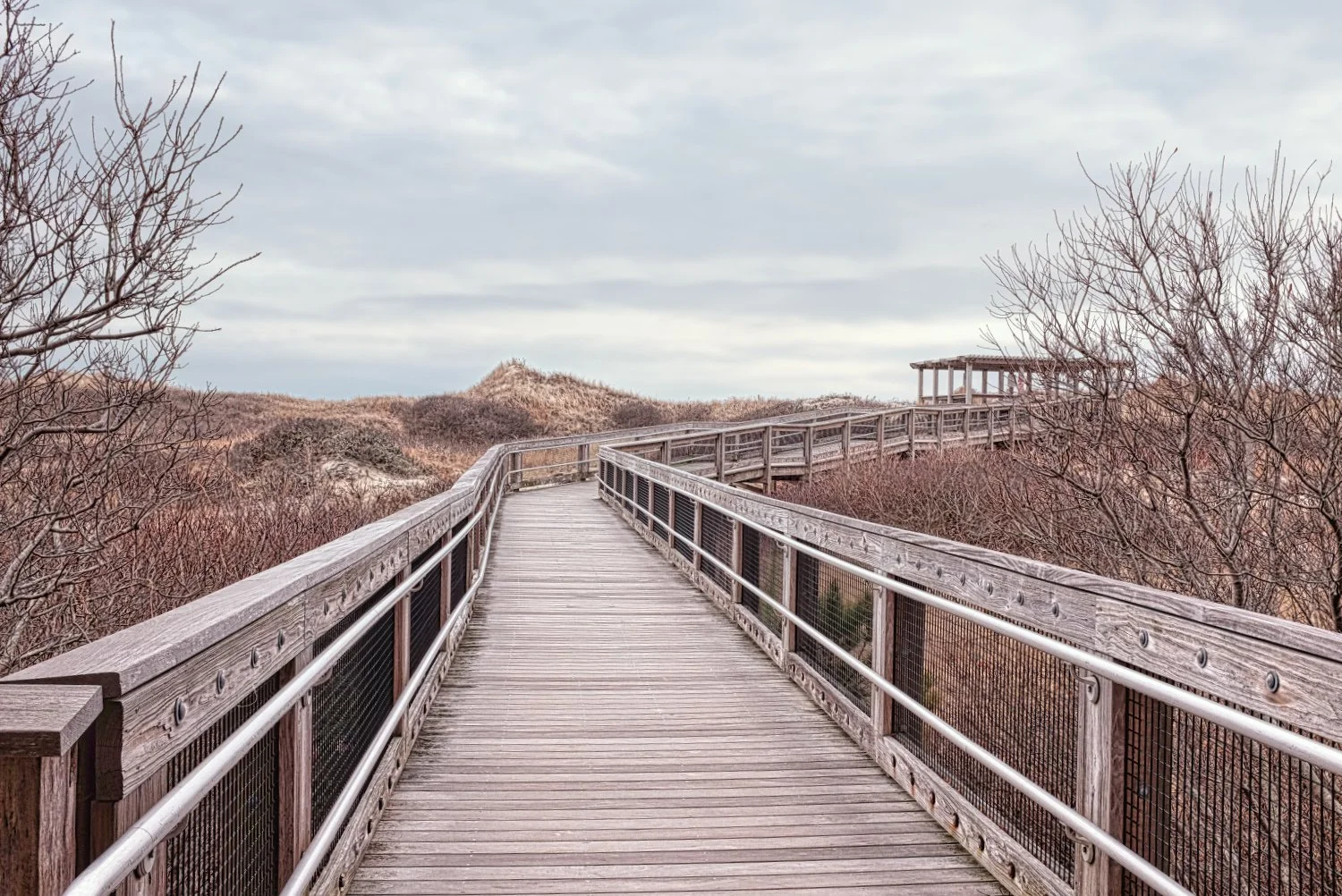 Wooden boardwalk extending through leafless trees and sand dunes under a cloudy sky.