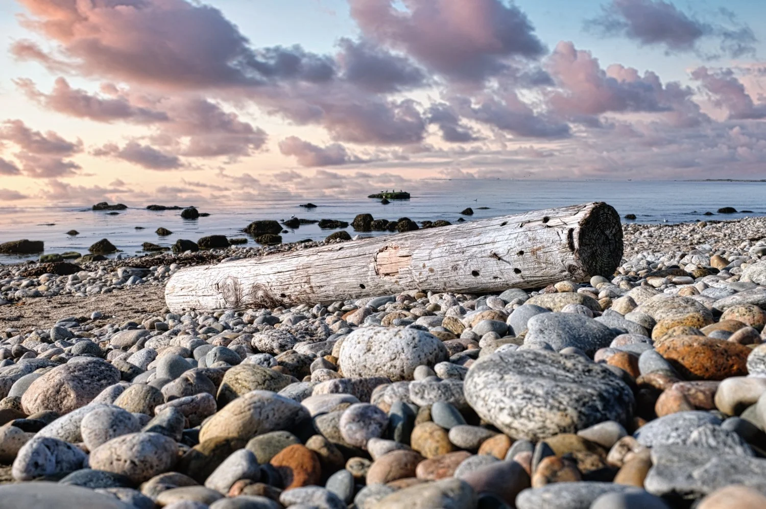 A beach scene with a large driftwood log resting on a rocky shoreline, calm water with rocks in the distance, and a partly cloudy sky during sunset or sunrise.