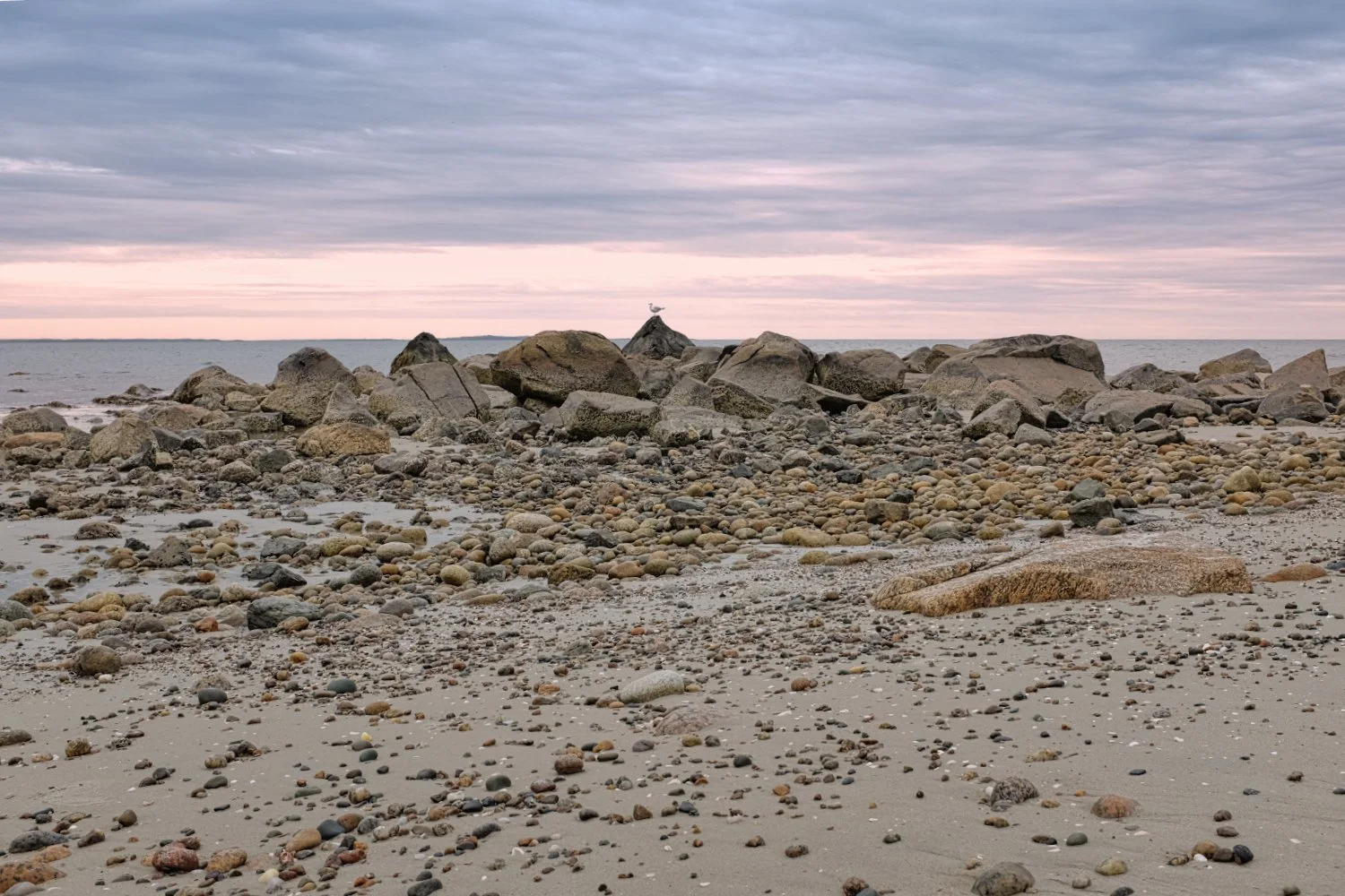 A rocky beach at sunset with a cloudy sky and calm water in the background, scattered with various sizes of stones and pebbles.