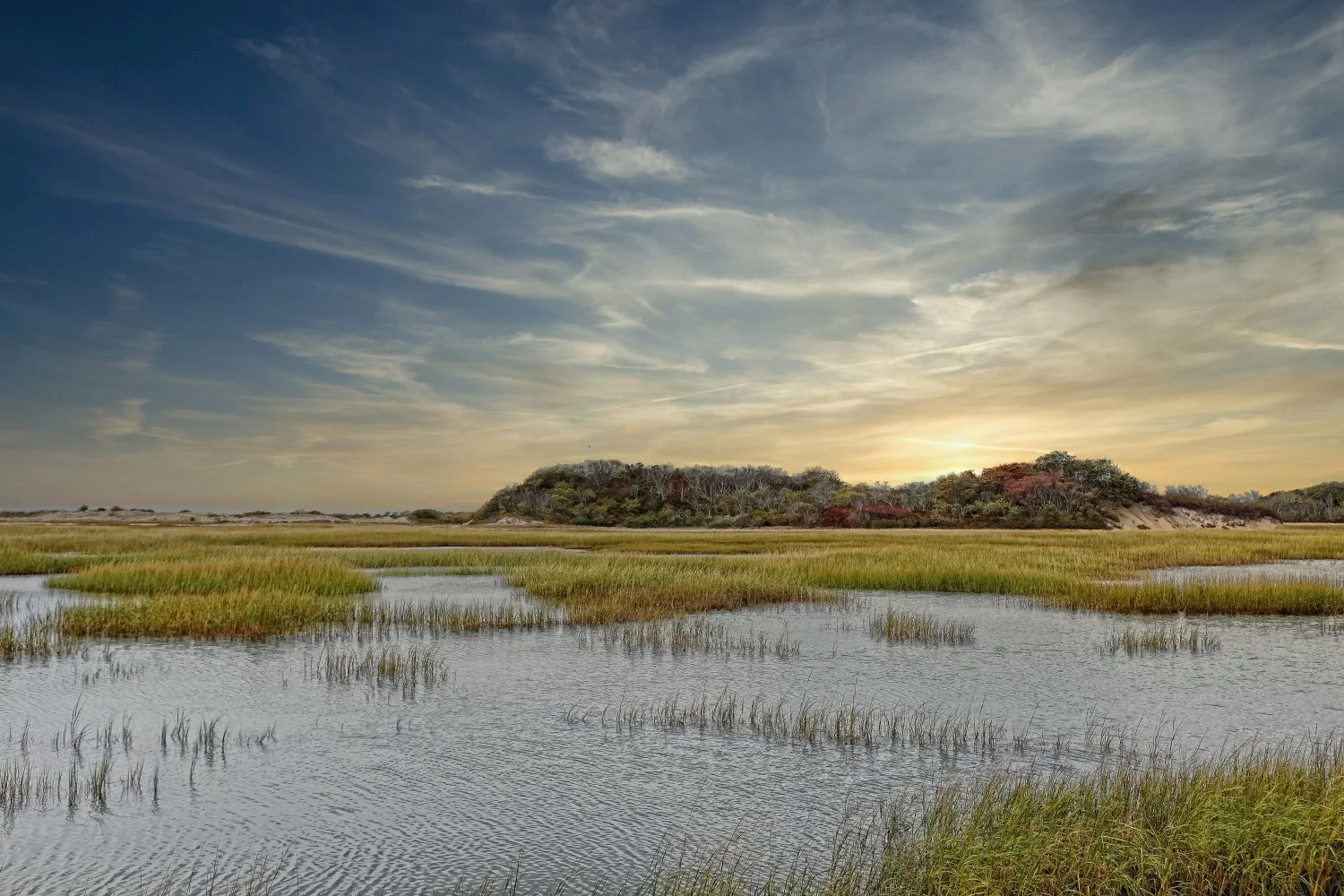 Sunset over a marsh with tall grasses and a distant tree-covered hill under a partly cloudy sky.