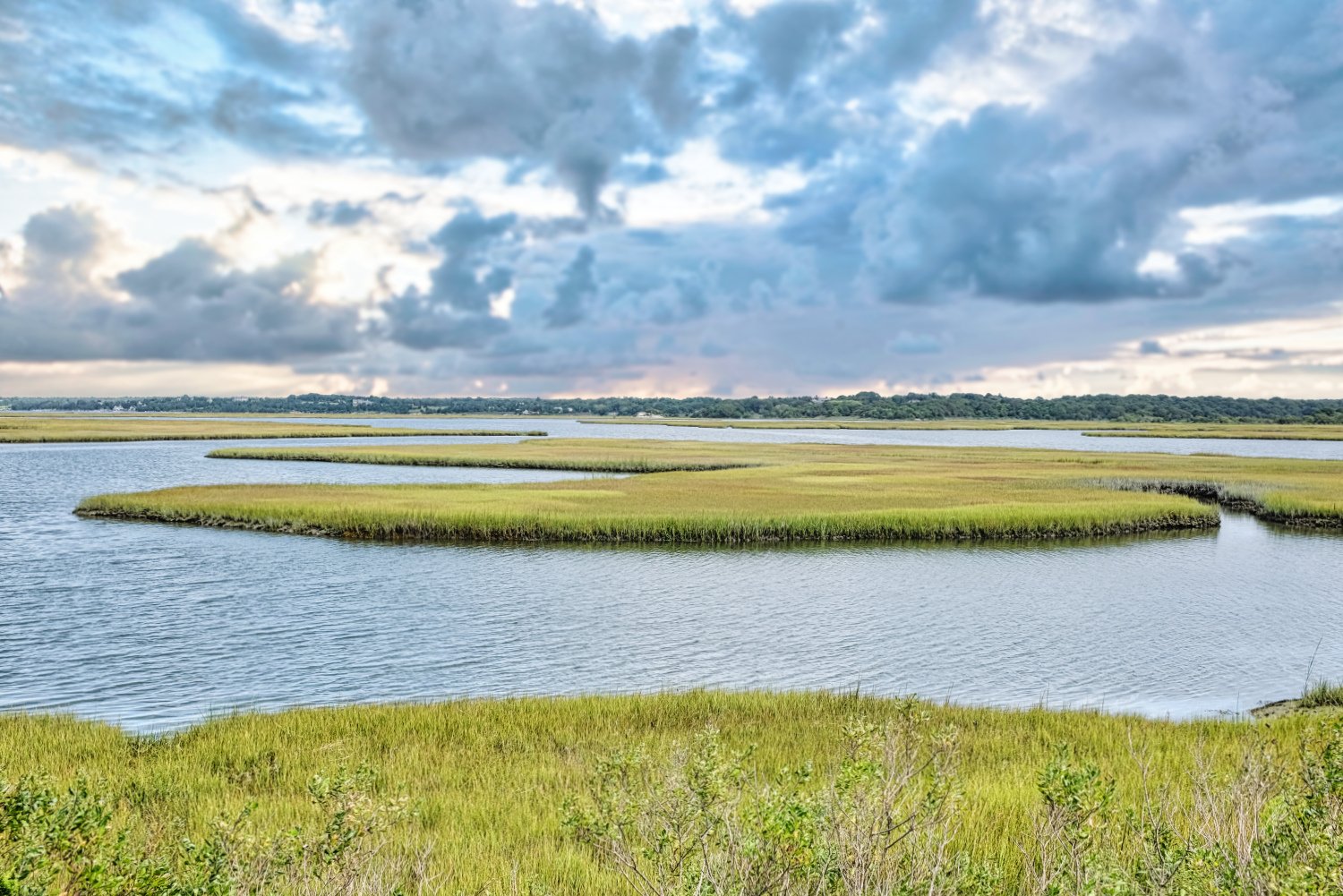 A landscape of marshland with green grasses and winding waterways under a cloudy sky.