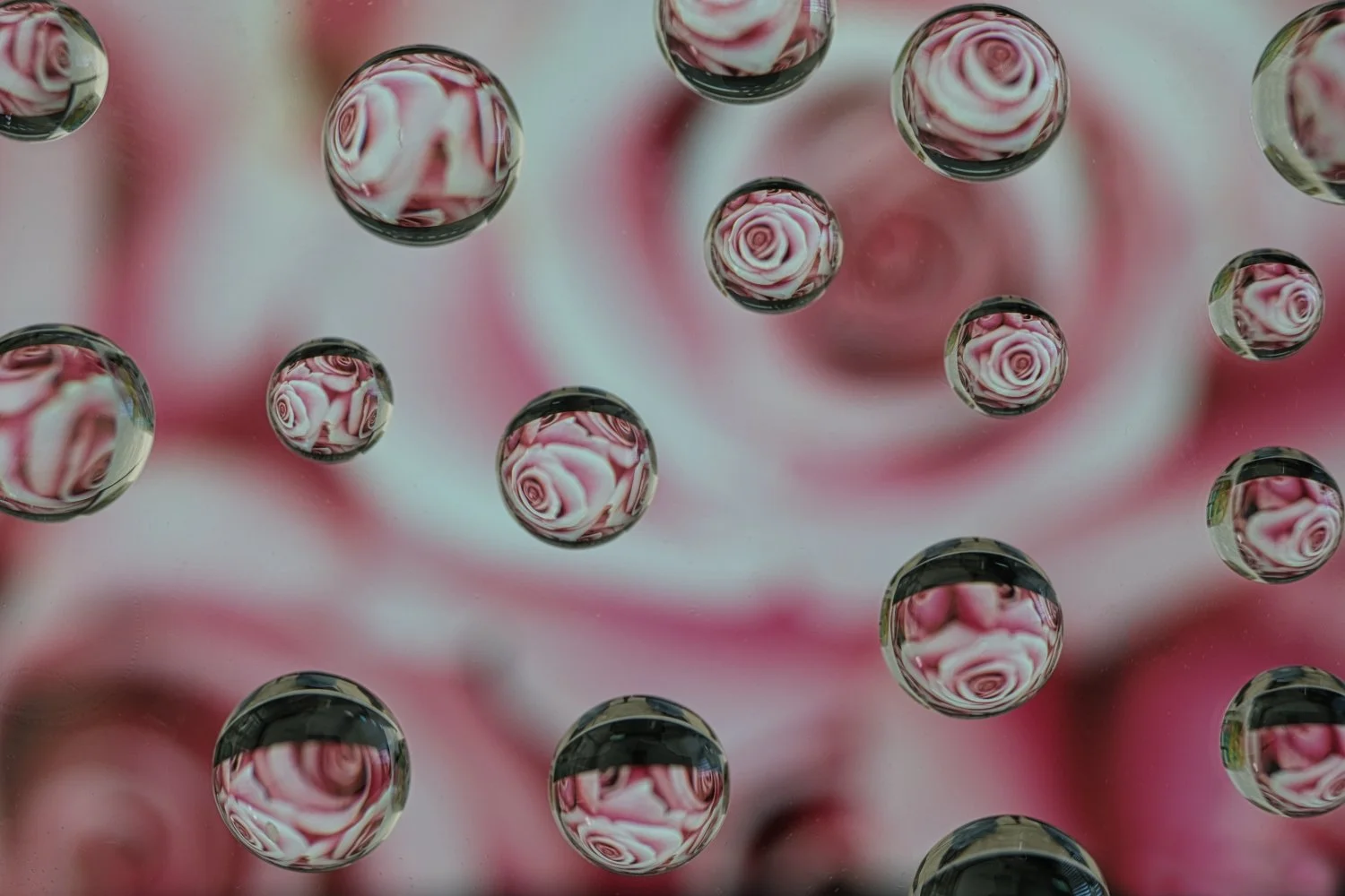 Multiple glass marbles with pink and white roses reflected inside, set against a blurred pink and white background.