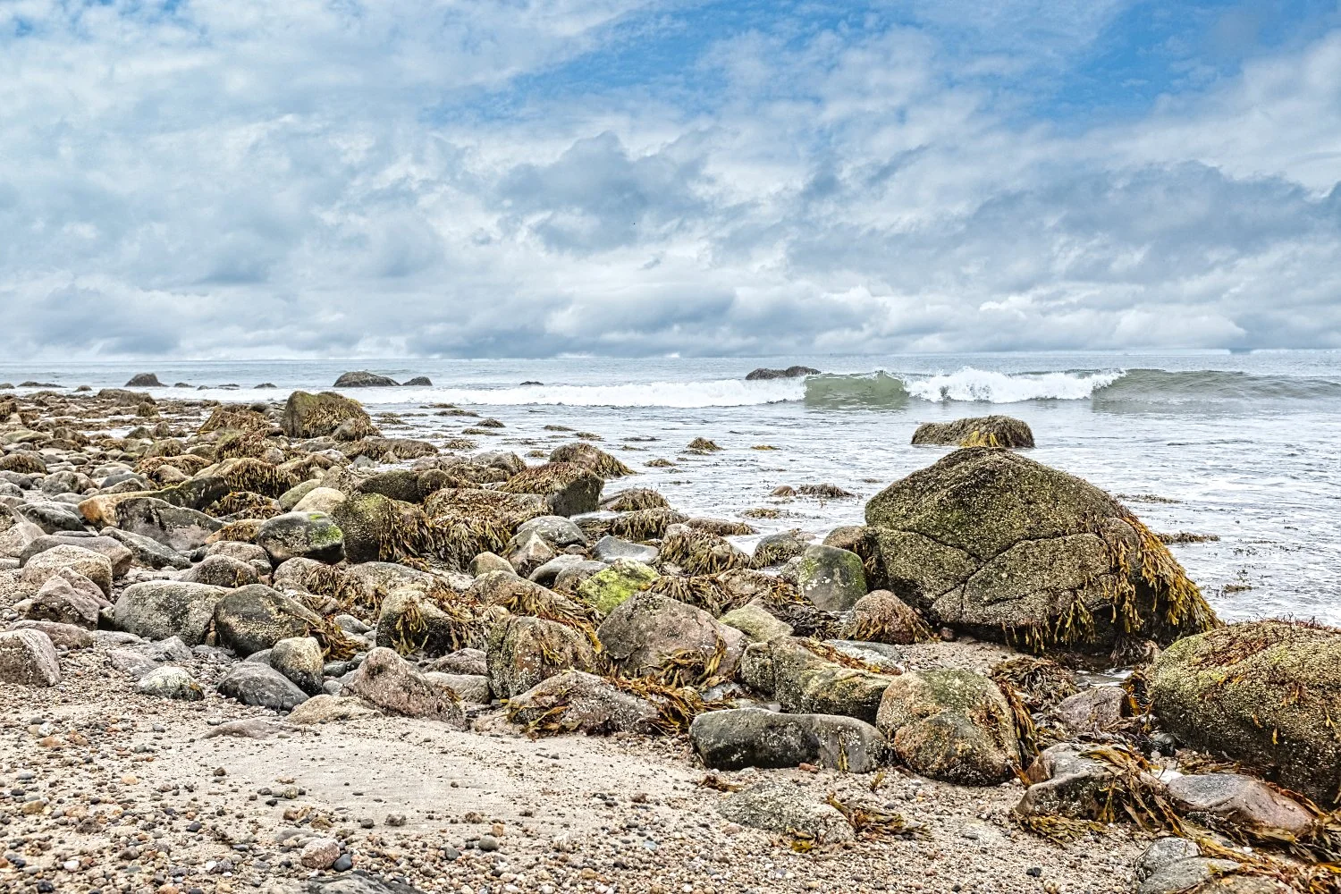 A rocky beach with various sized stones and seaweed, ocean waves approaching, cloudy sky.