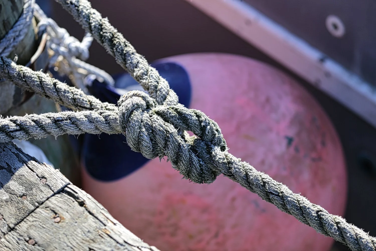 Frost-covered dock rope tied with a knot, with a pink buoy in the background.