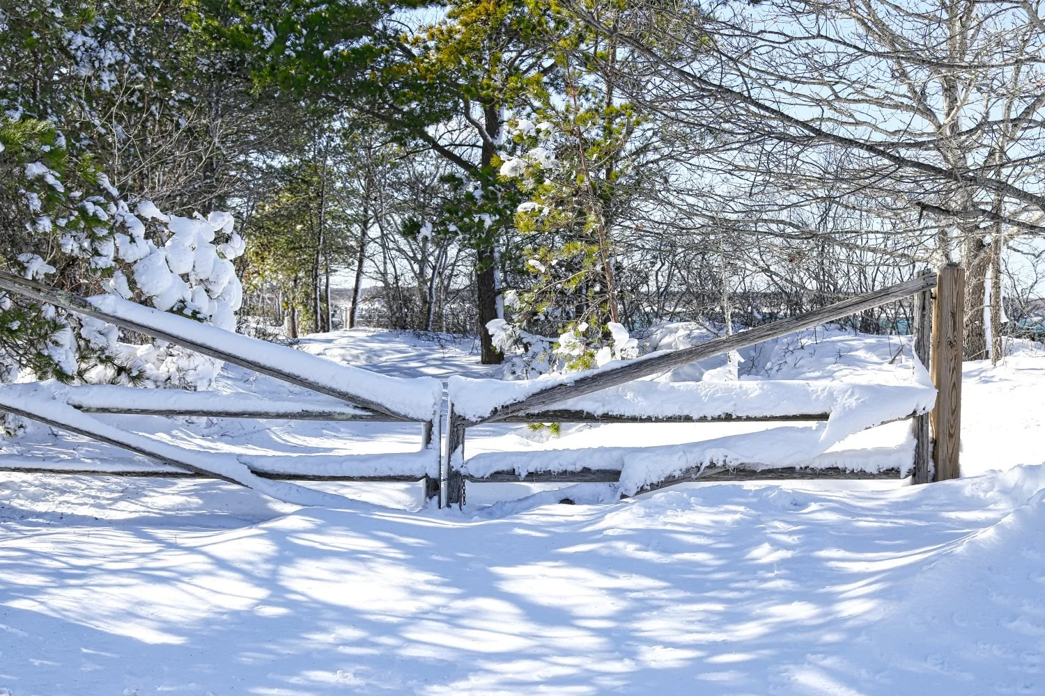 Snow-covered rustic wooden gate in a winter landscape with trees and clear sky in the background.