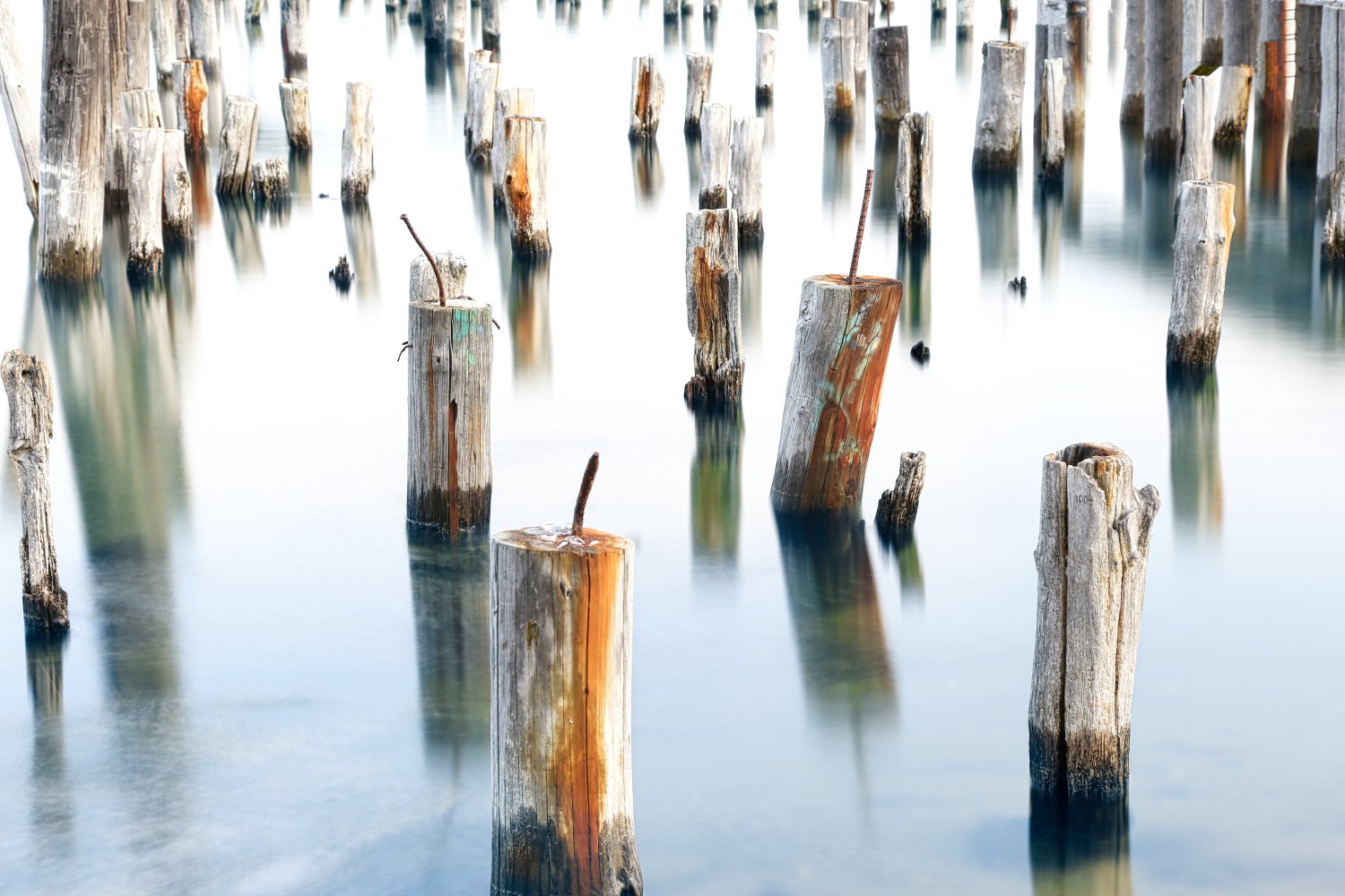 Old wooden pilings in calm water, some tilted or broken, with reflections on the water's surface.