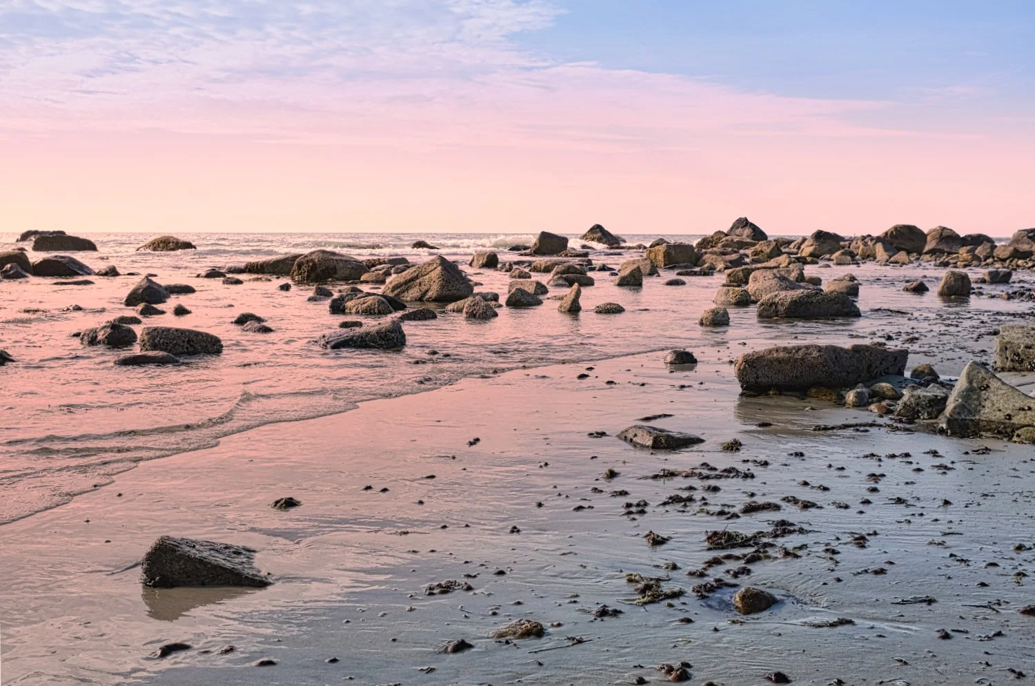 A beach scene during sunset with pink clouds and a calm ocean, scattered with numerous large rocks and smaller stones on the wet sand.