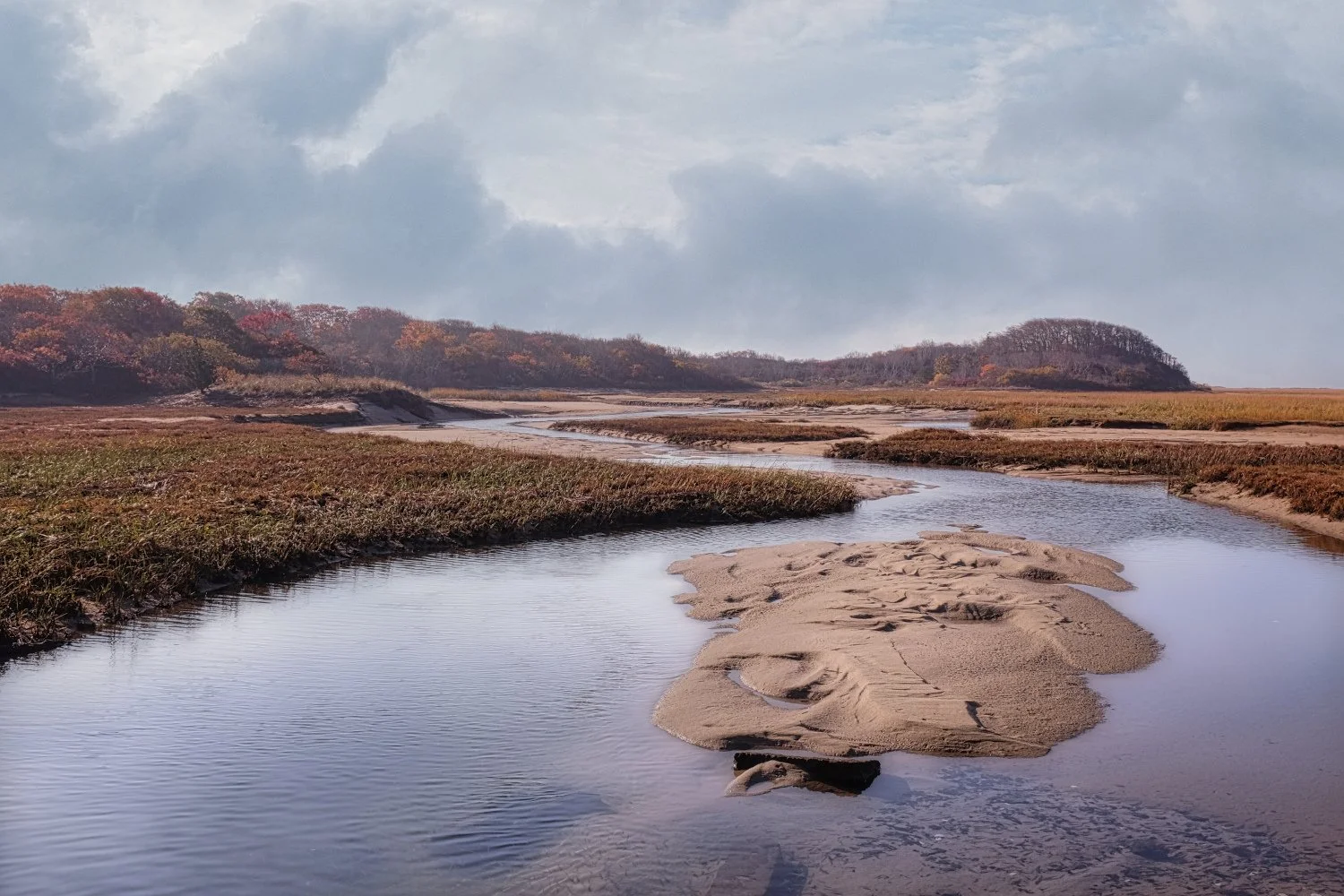 A river meandering through a landscape with patches of sand and grass, with trees in the background under a cloudy sky.