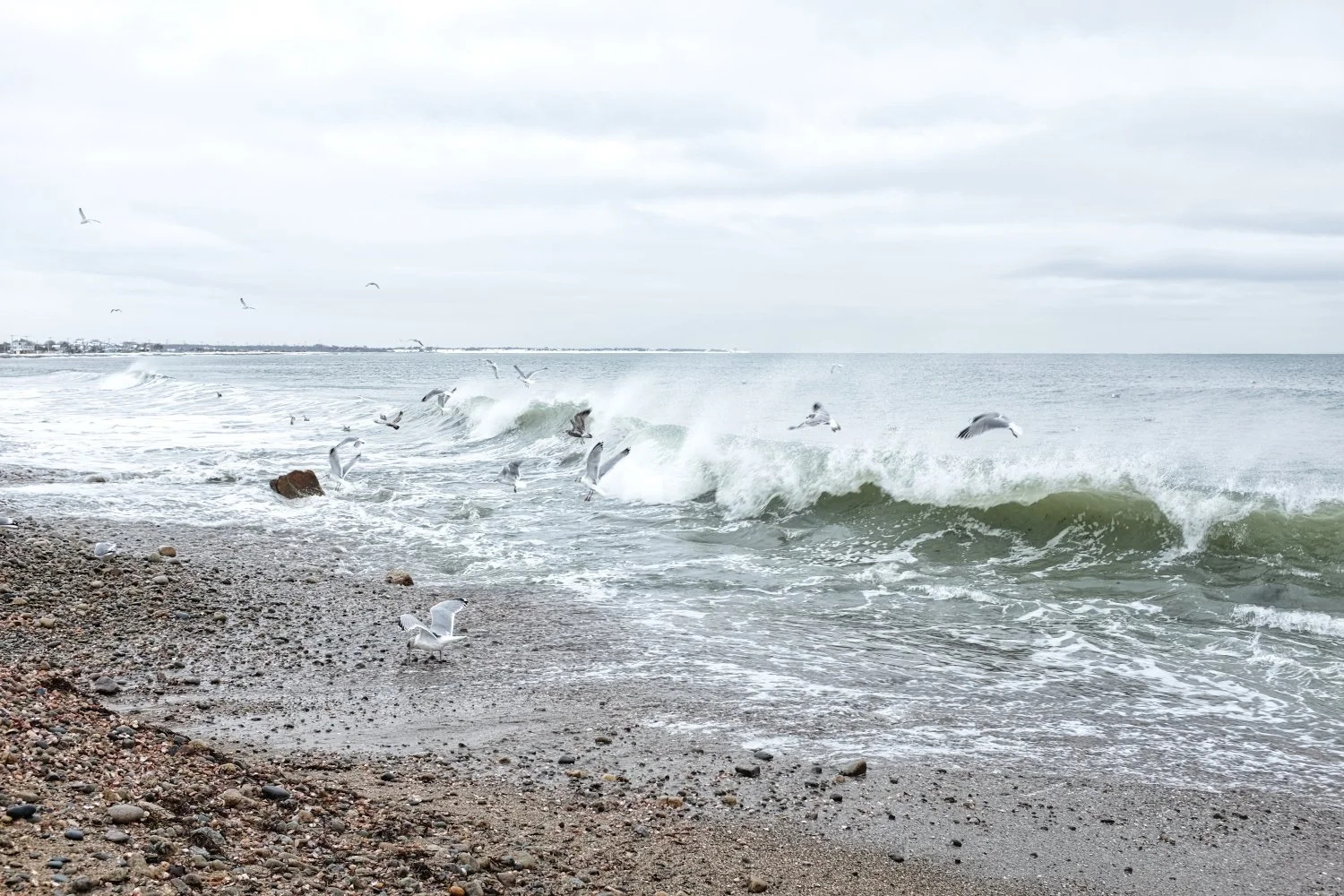 A cloudy day at the beach with seagulls flying over crashing waves on a pebbled shoreline.