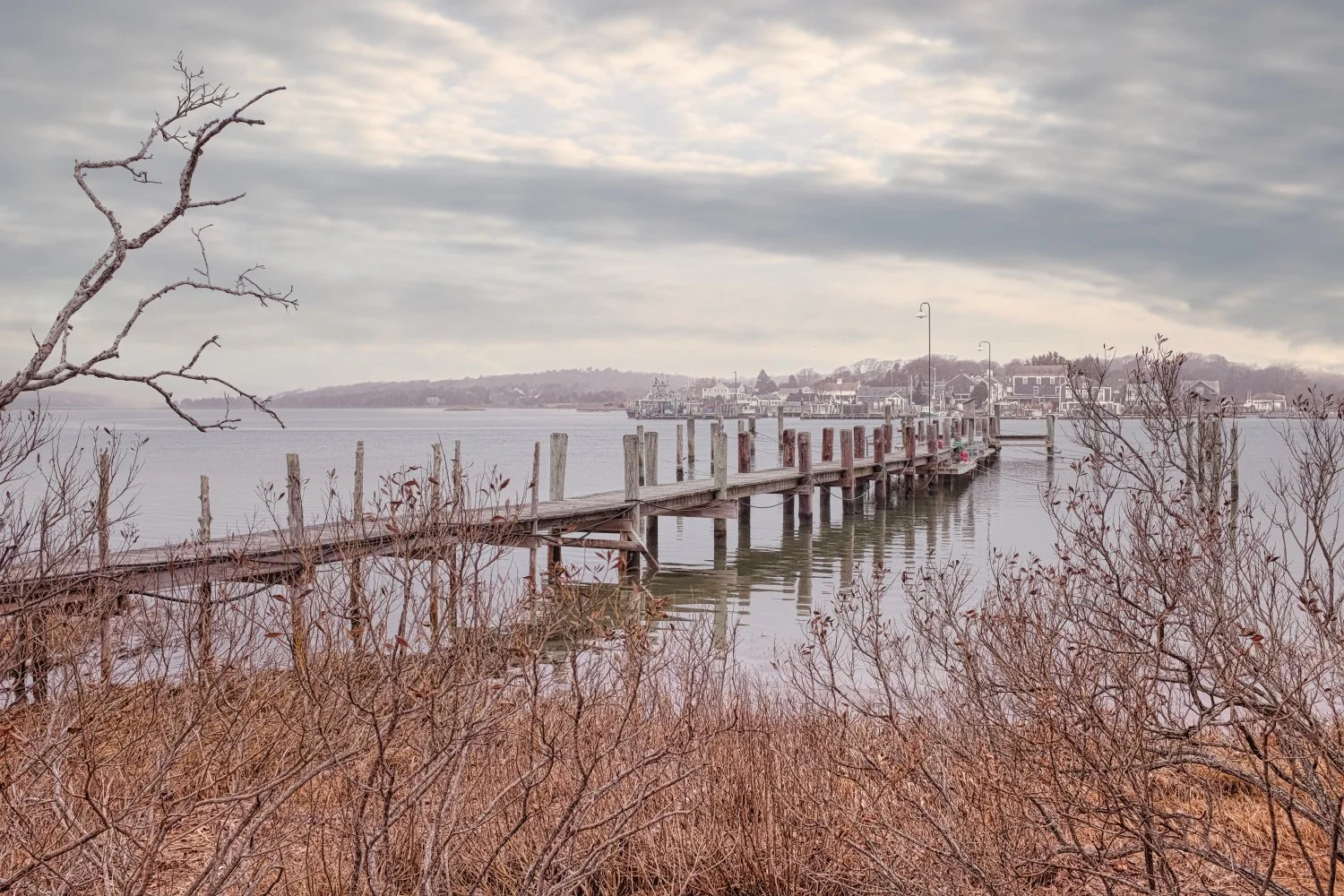 A wooden pier extending into a calm body of water under a cloudy sky, with leafless bushes and trees in the foreground and houses across the water in the background.