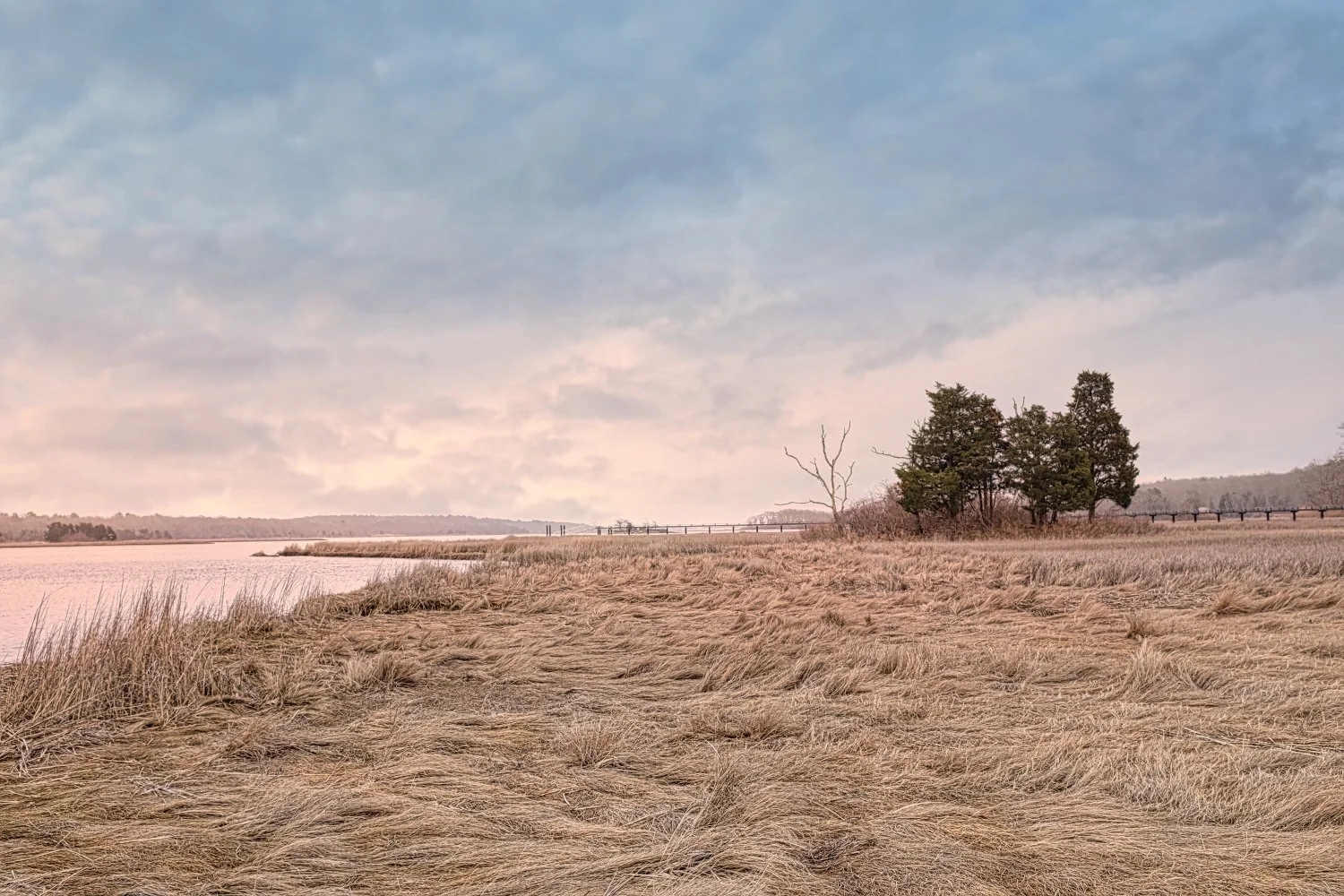 A landscape of a grassy field near a body of water with a small cluster of trees, a partly cloudy sky, and a distant shoreline.