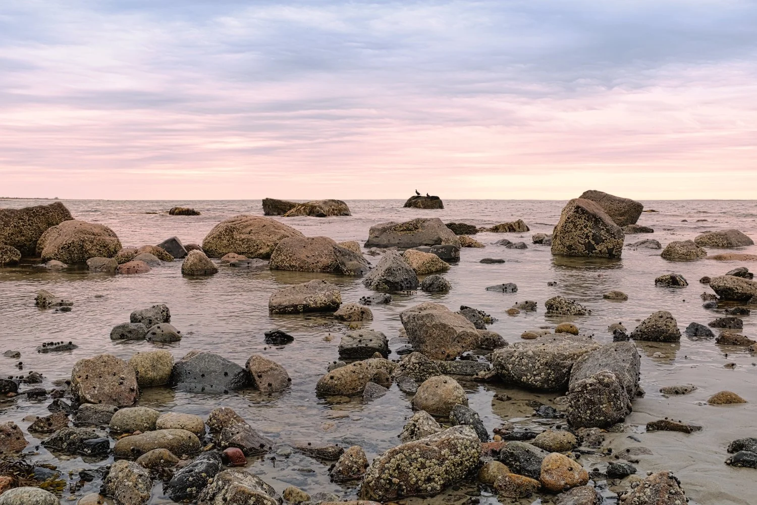 Rocky shoreline with tide pools and calm water leading to the open sea under a cloudy pinkish sky.