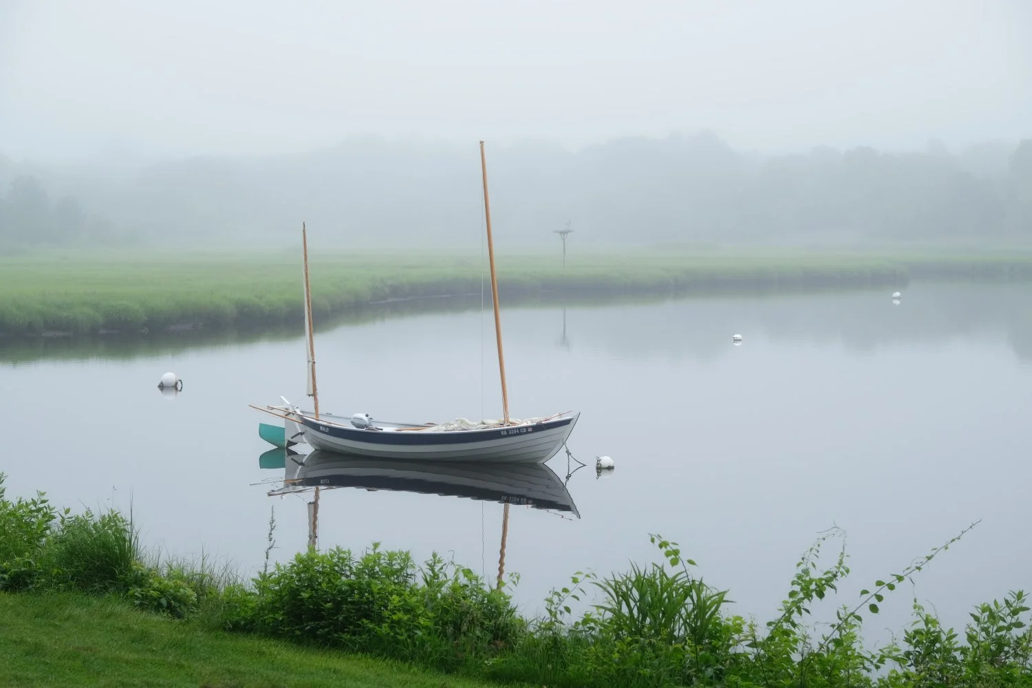 A small sailboat floating on a calm, misty body of water with green grass and shrubs at the shoreline, and foggy trees in the background.