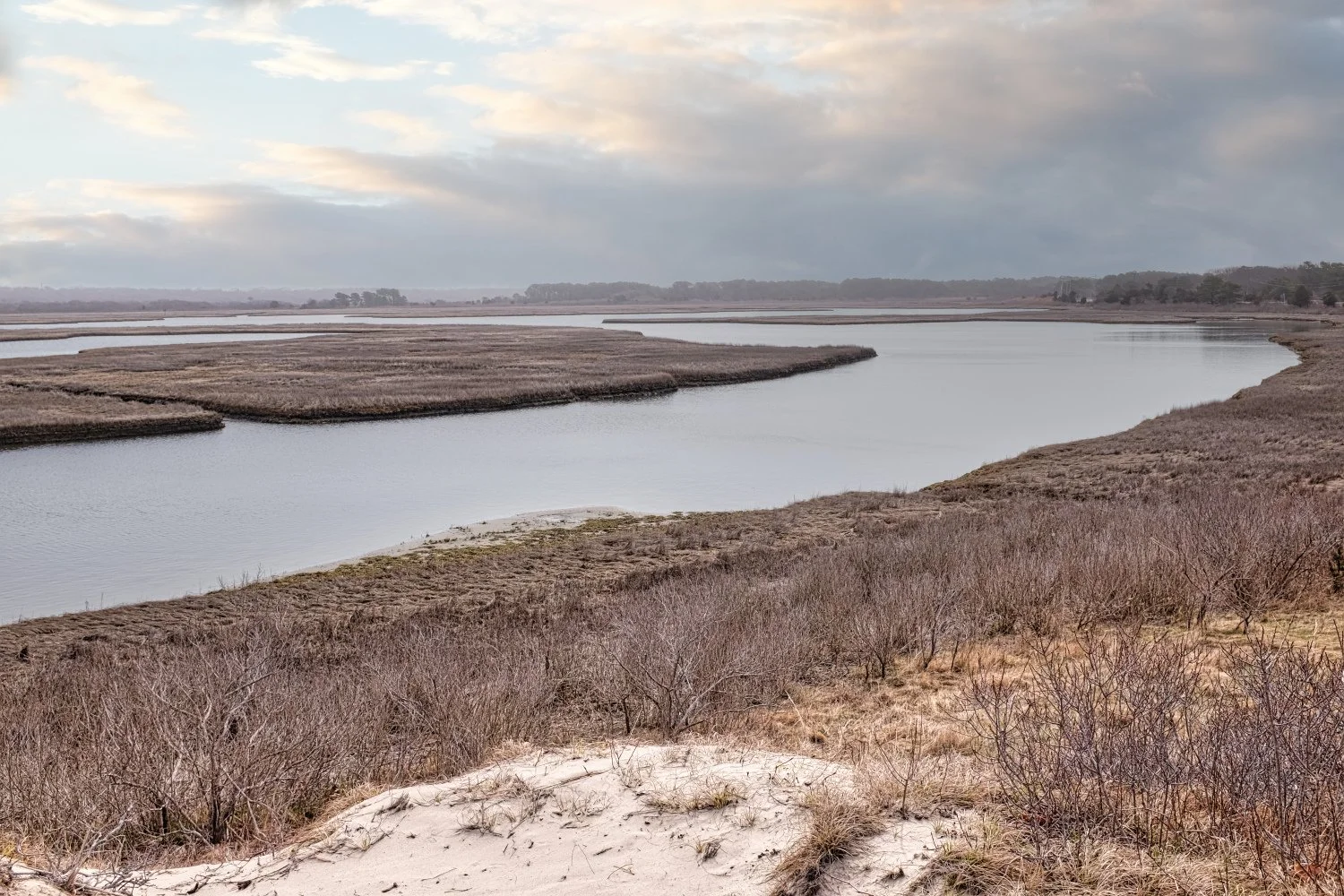 A landscape of a marshy area with winding water channels, dried bushes, sparse vegetation, and a cloudy sky.