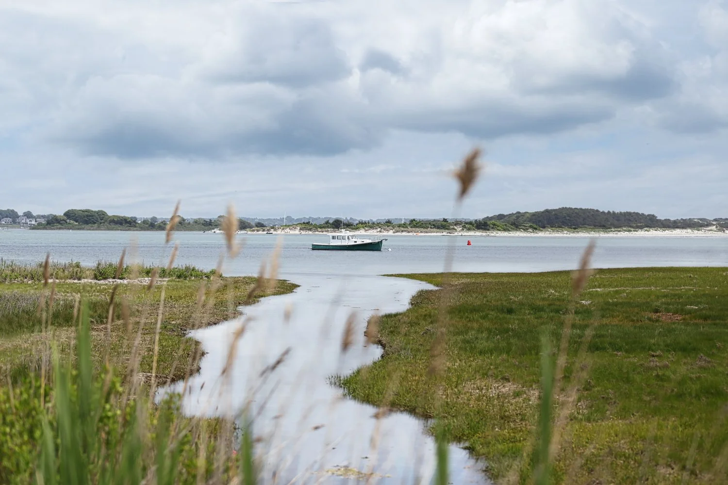 A boat on calm water near a grassy shoreline with a cloudy sky overhead.