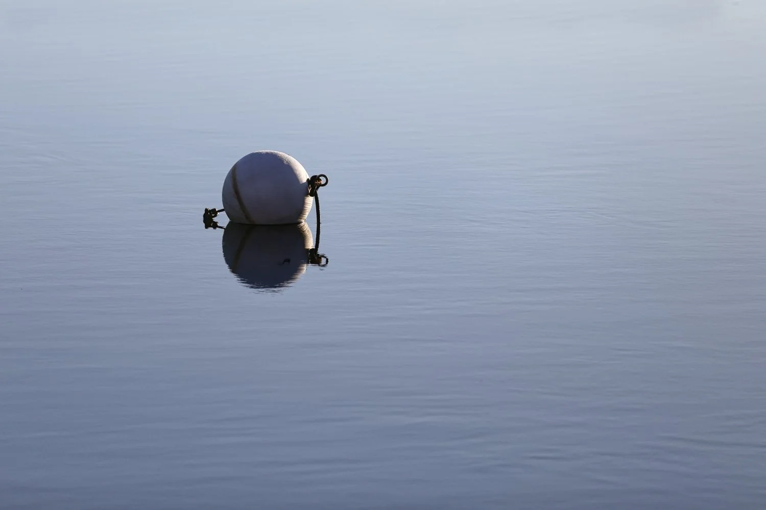 A white spherical buoy floating on calm water with a rope attached, creating a reflection on the water's surface.