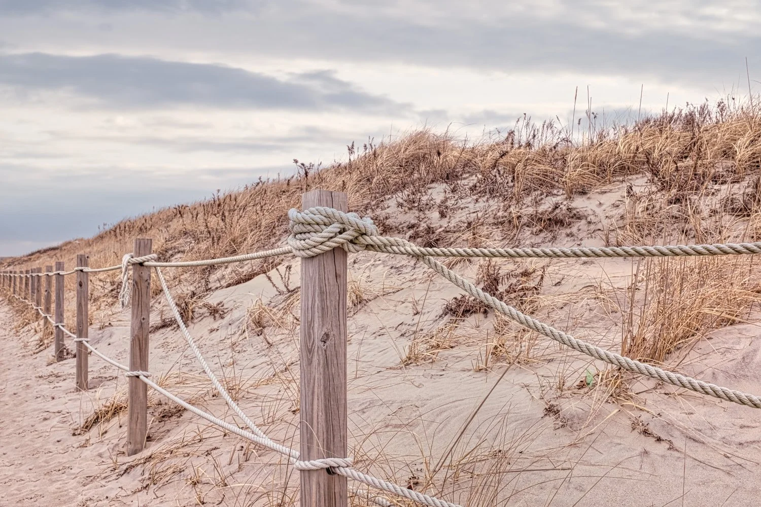 Wooden posts with rope railing along sandy beach dunes with dry grass, under cloudy sky.
