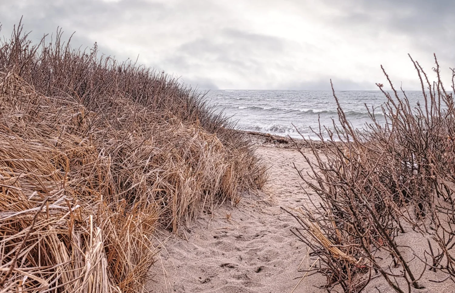 Sandy path leading to the ocean, flanked by brown beach grass and shrubs, overcast sky